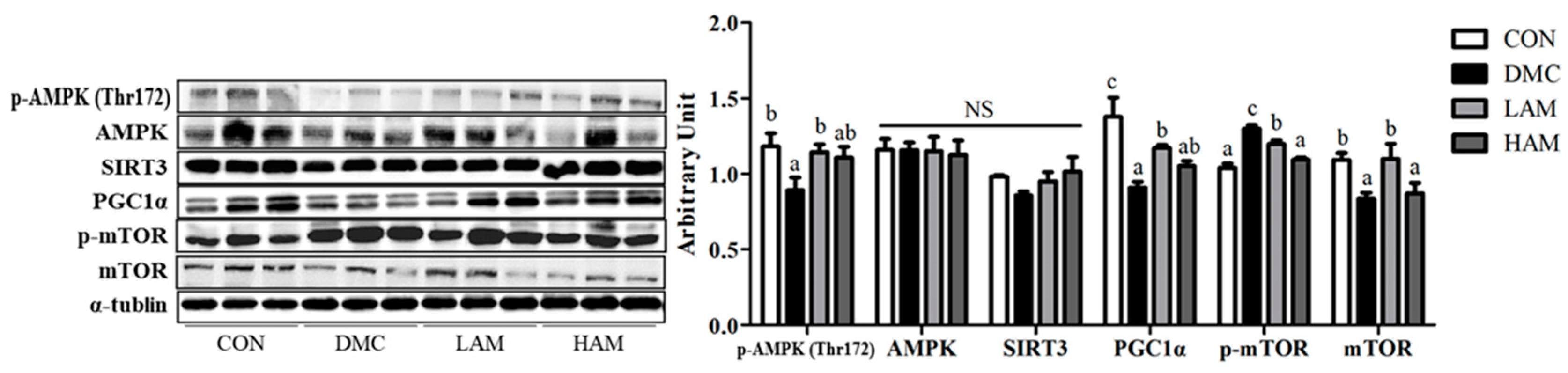 Antioxidants 10 01546 g008