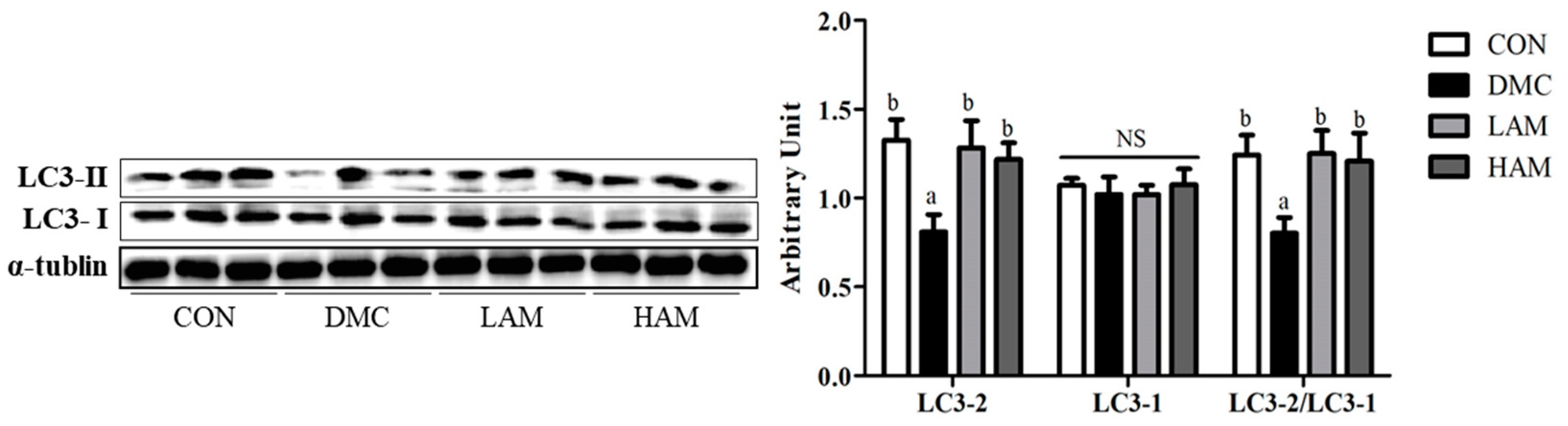 Antioxidants 10 01546 g009