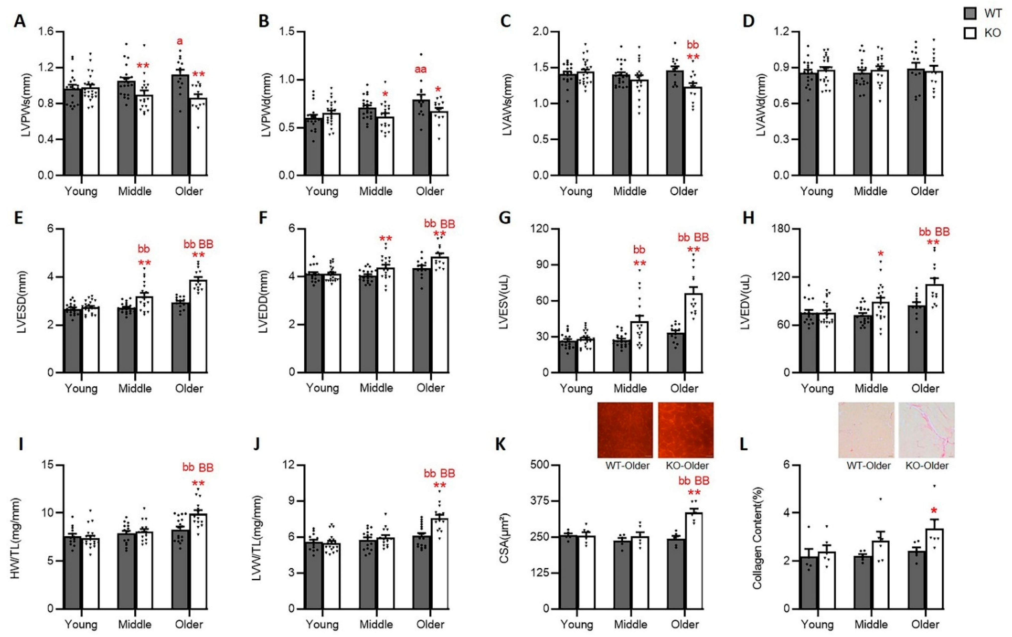 Antioxidants 10 01550 g001