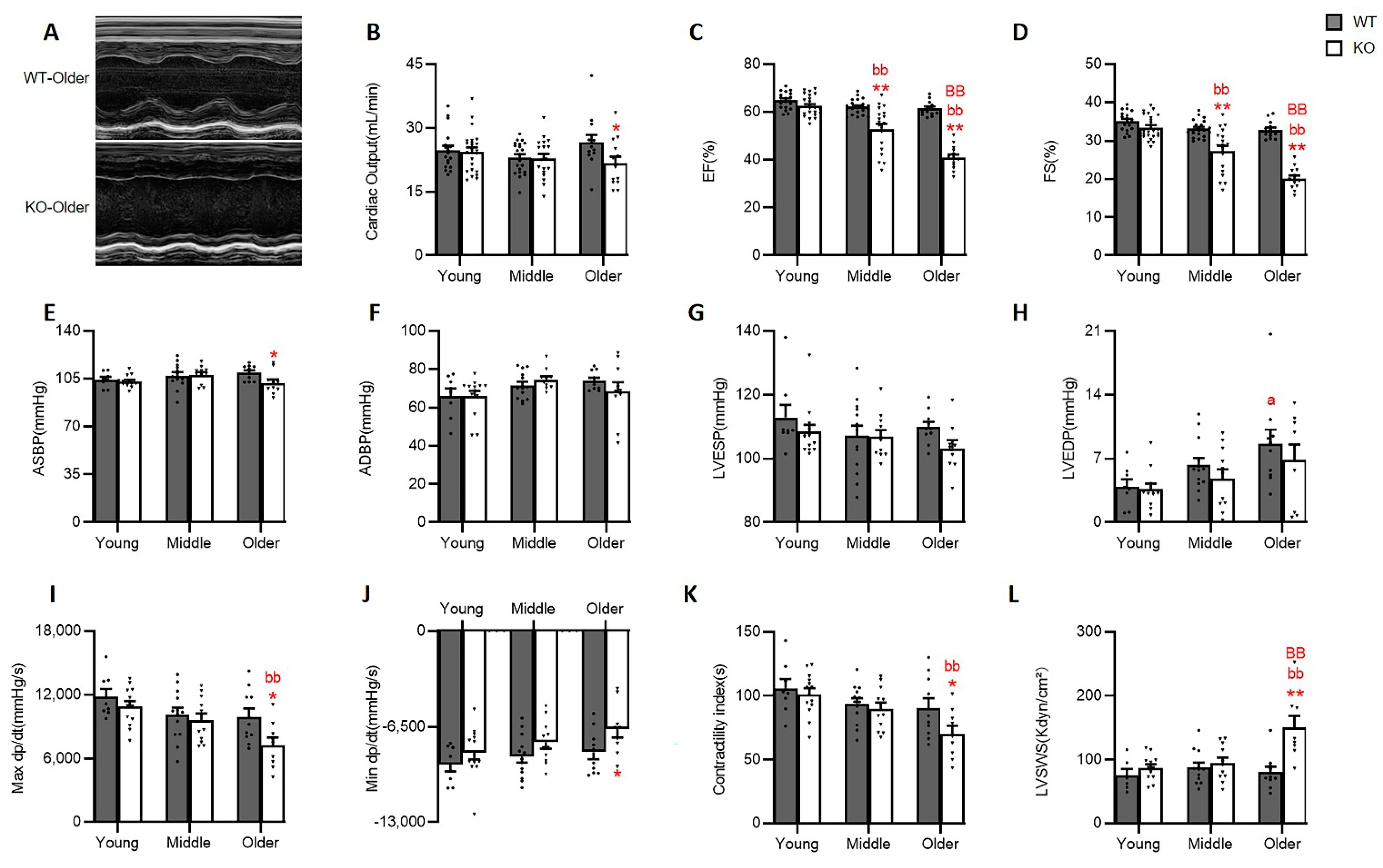 Antioxidants 10 01550 g002