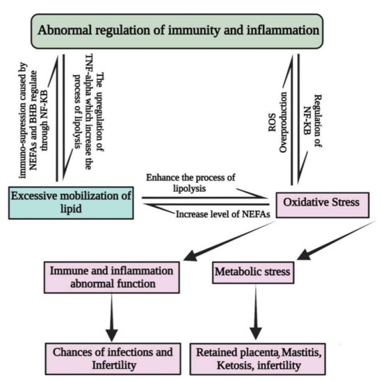Antioxidants Free FullText The Antioxidant Properties of Selenium