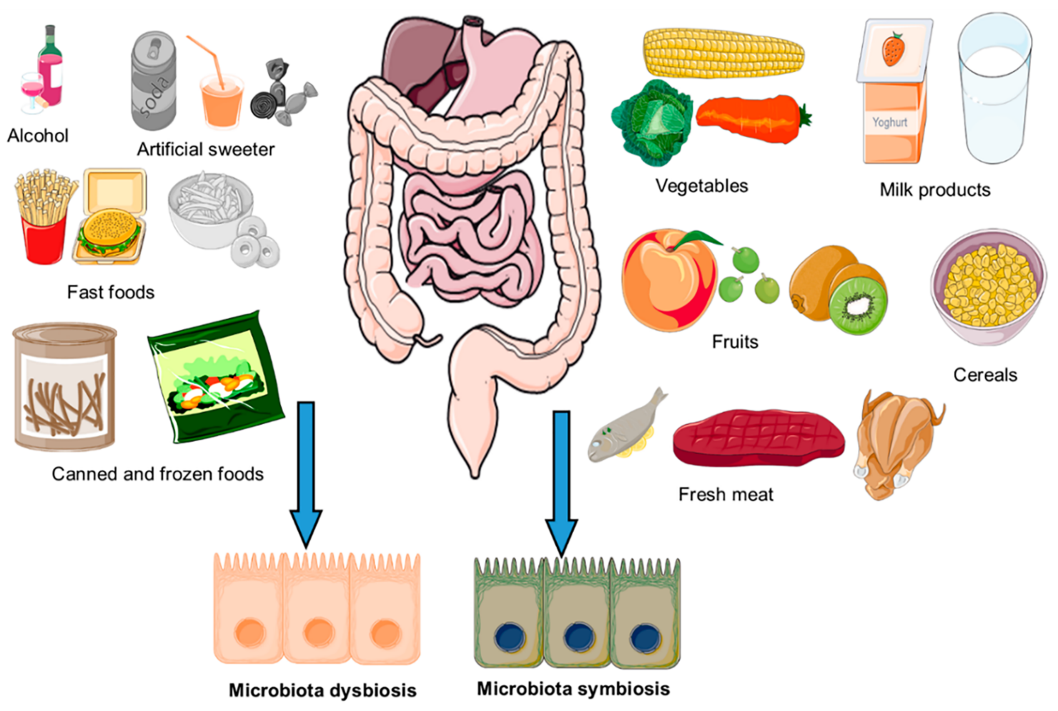 Antioxidants 10 01563 g002 Antioxidants 10 01563 g002