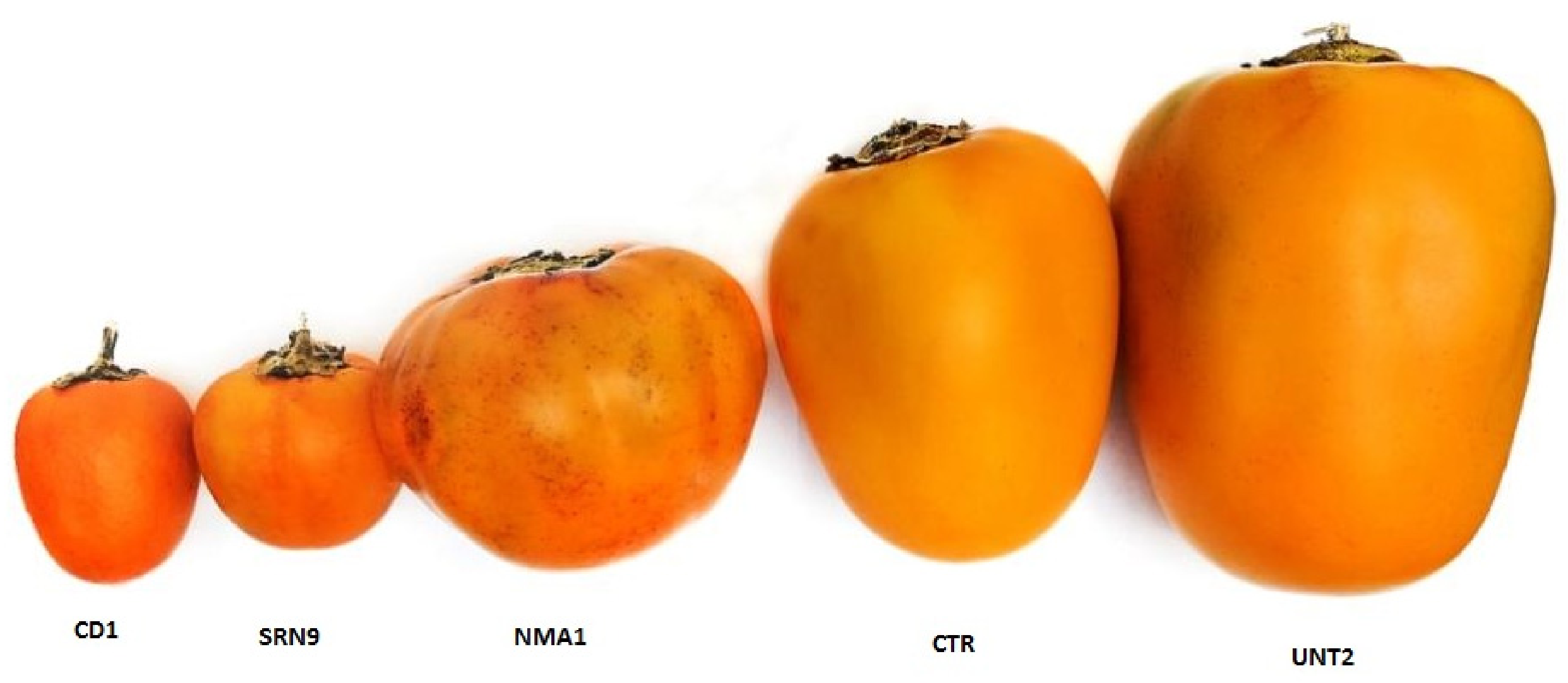 Antioxidants 10 01566 g001
