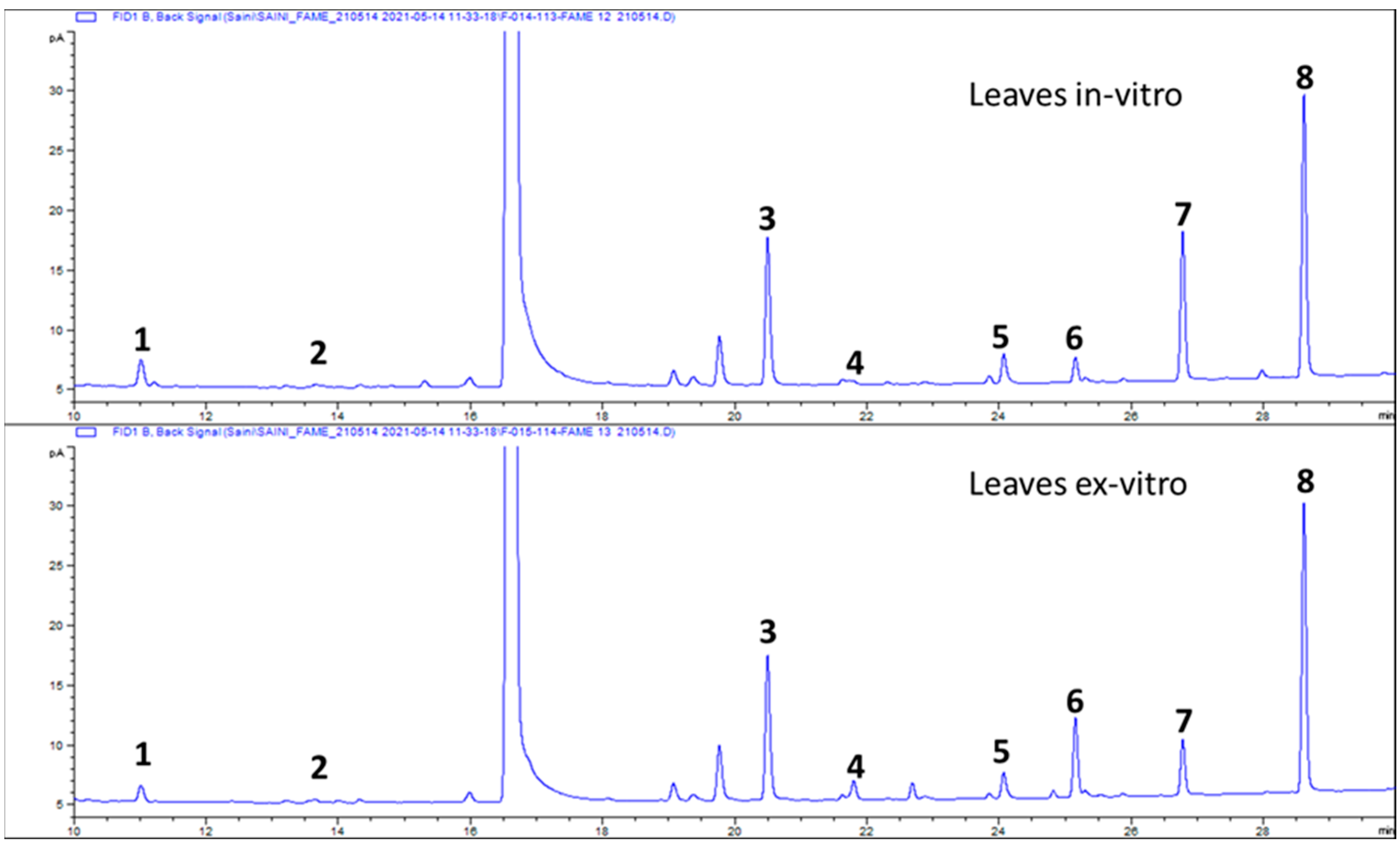 Antioxidants 10 01573 g003