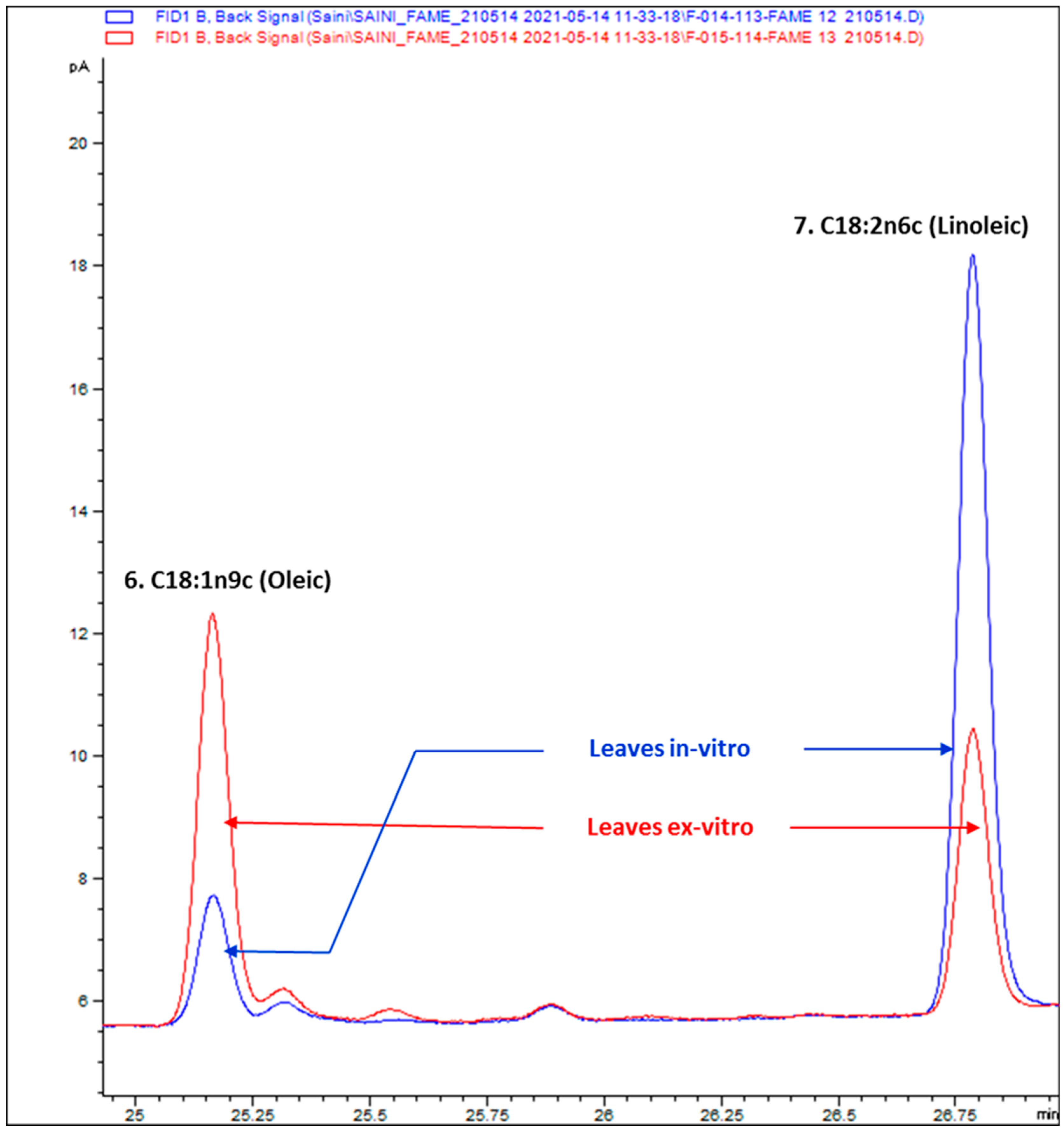 Antioxidants 10 01573 g006