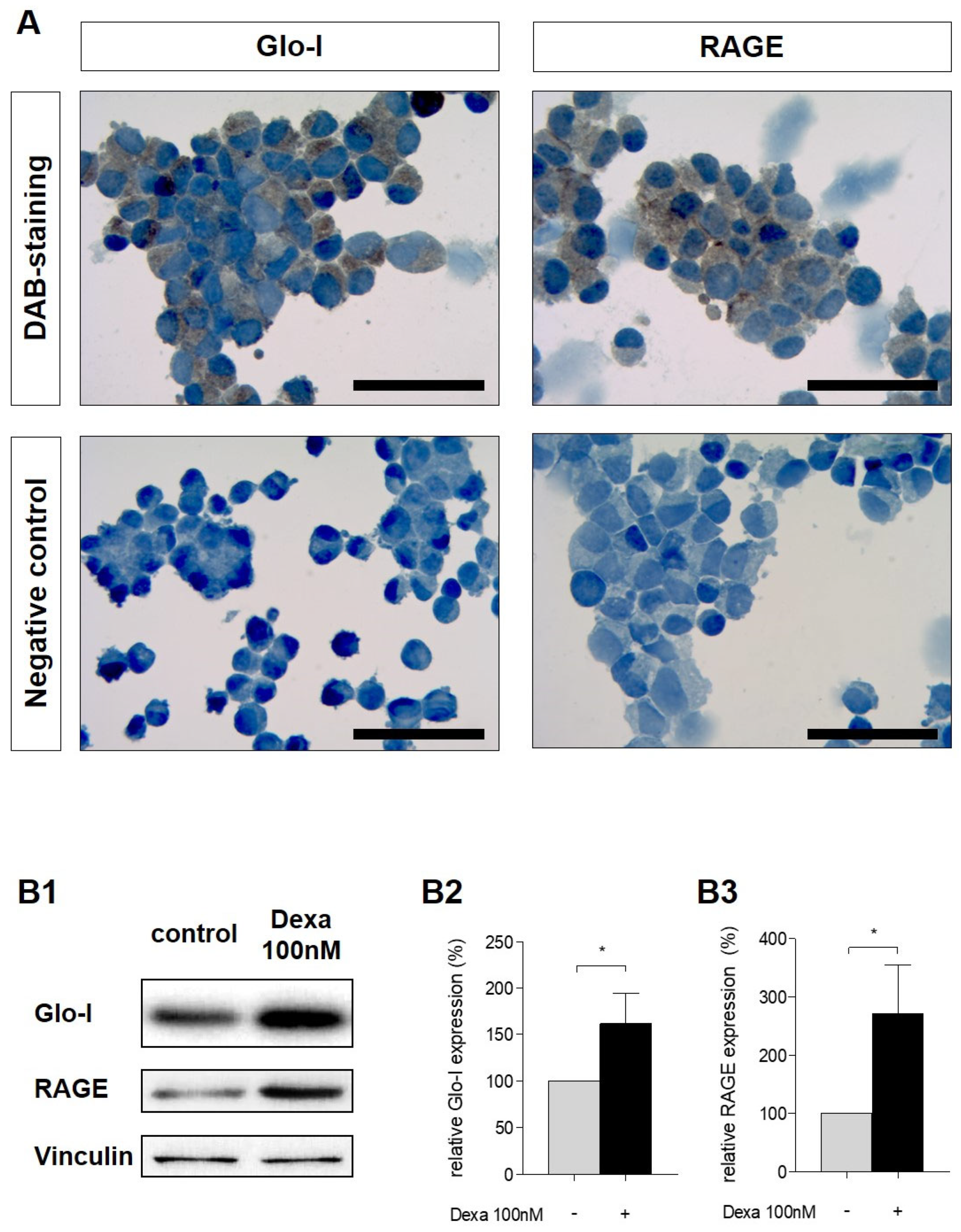 Antioxidants 10 01574 g002 Antioxidants 10 01574 g002