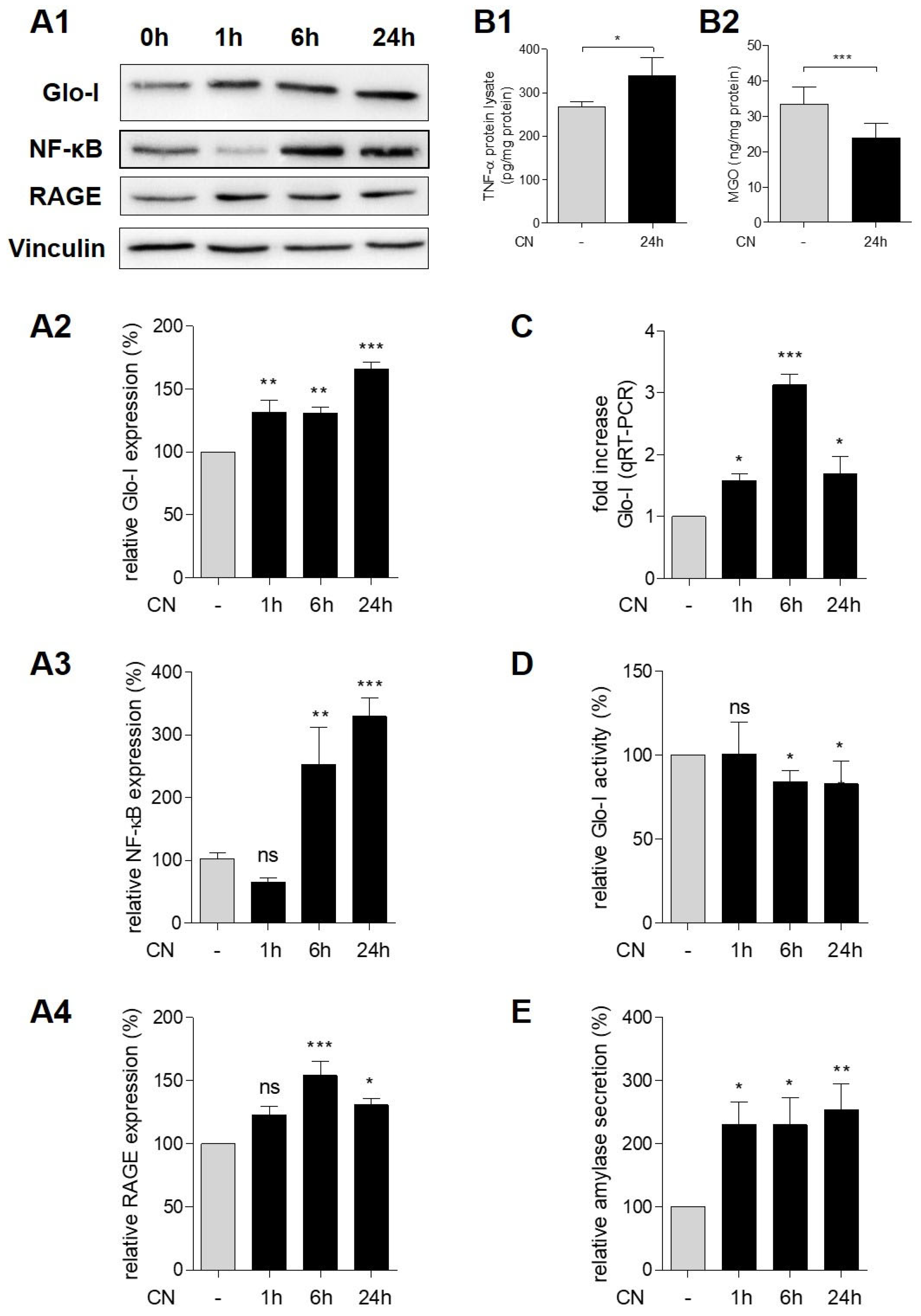 Antioxidants 10 01574 g003 Antioxidants 10 01574 g003