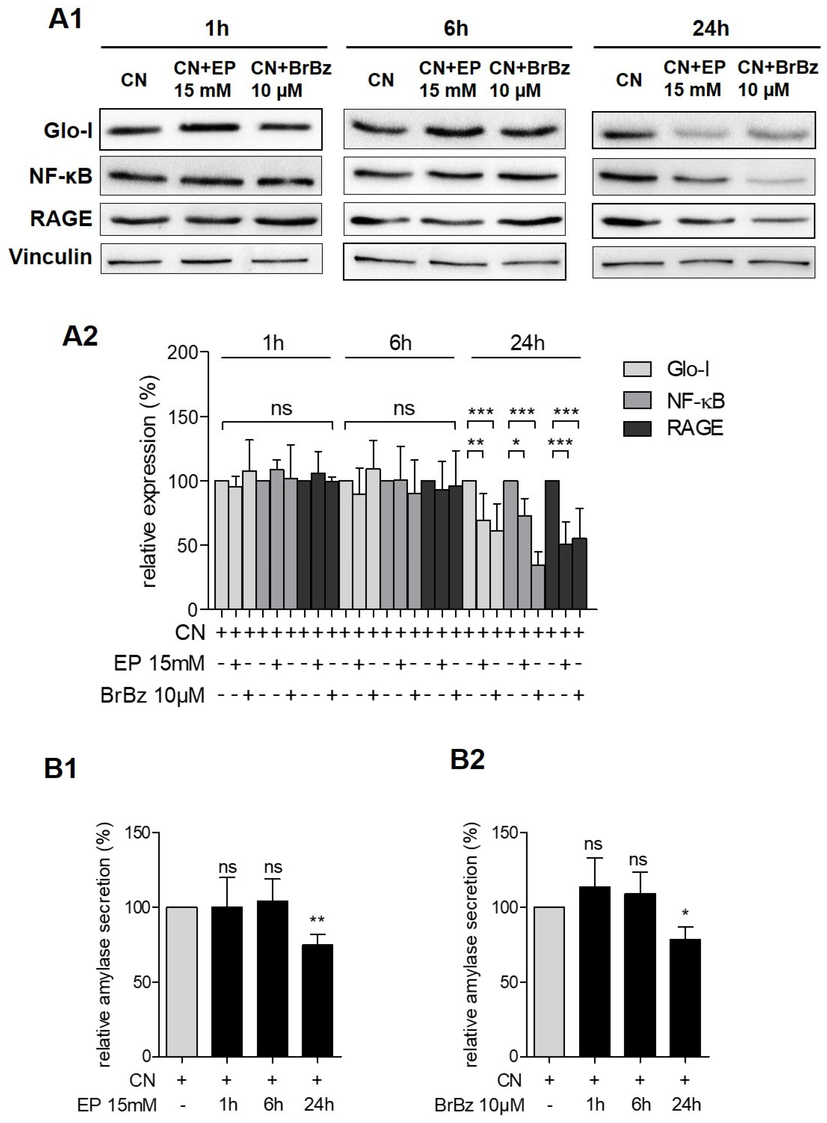Antioxidants 10 01574 g004 Antioxidants 10 01574 g004