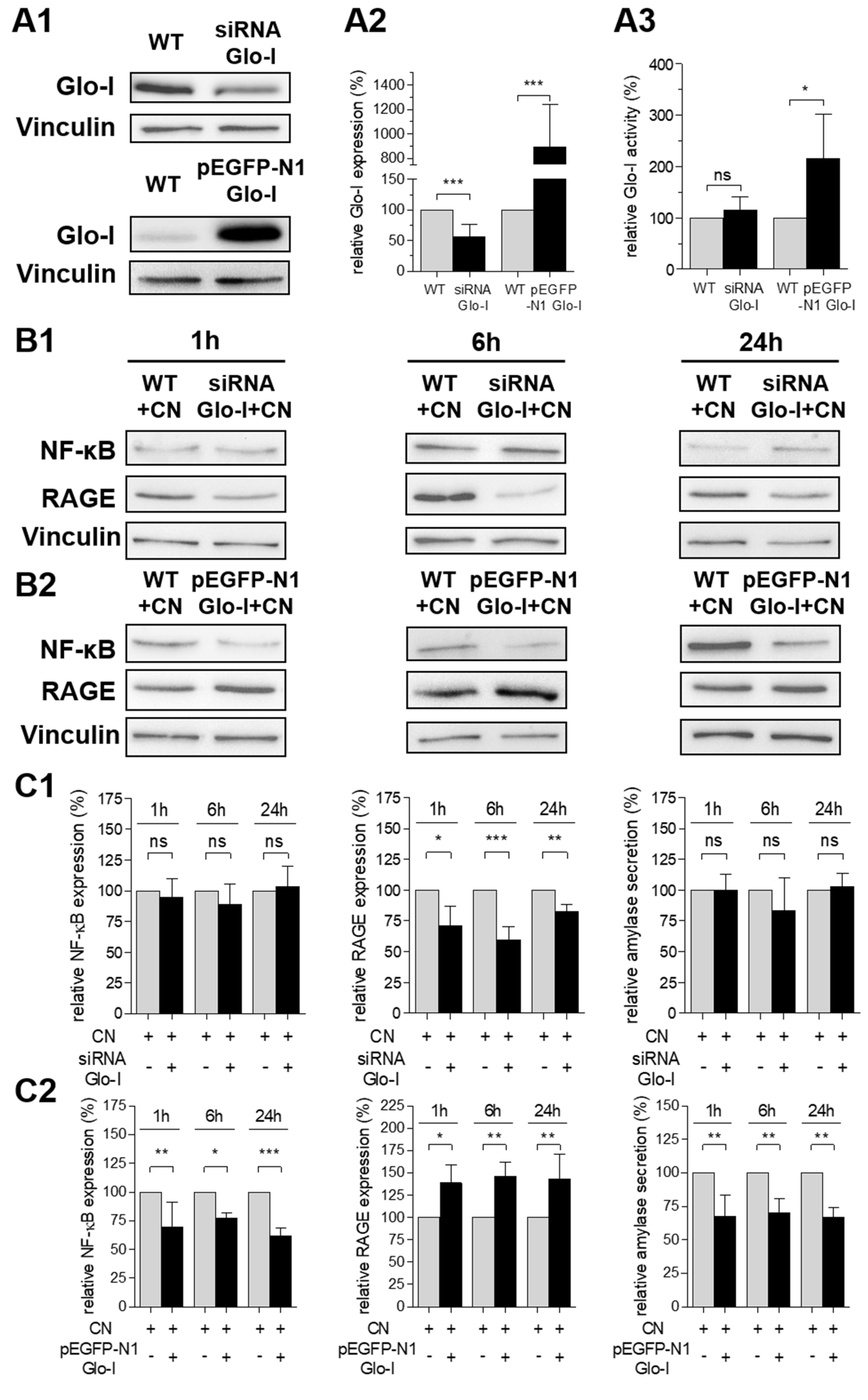 Antioxidants 10 01574 g005 Antioxidants 10 01574 g005