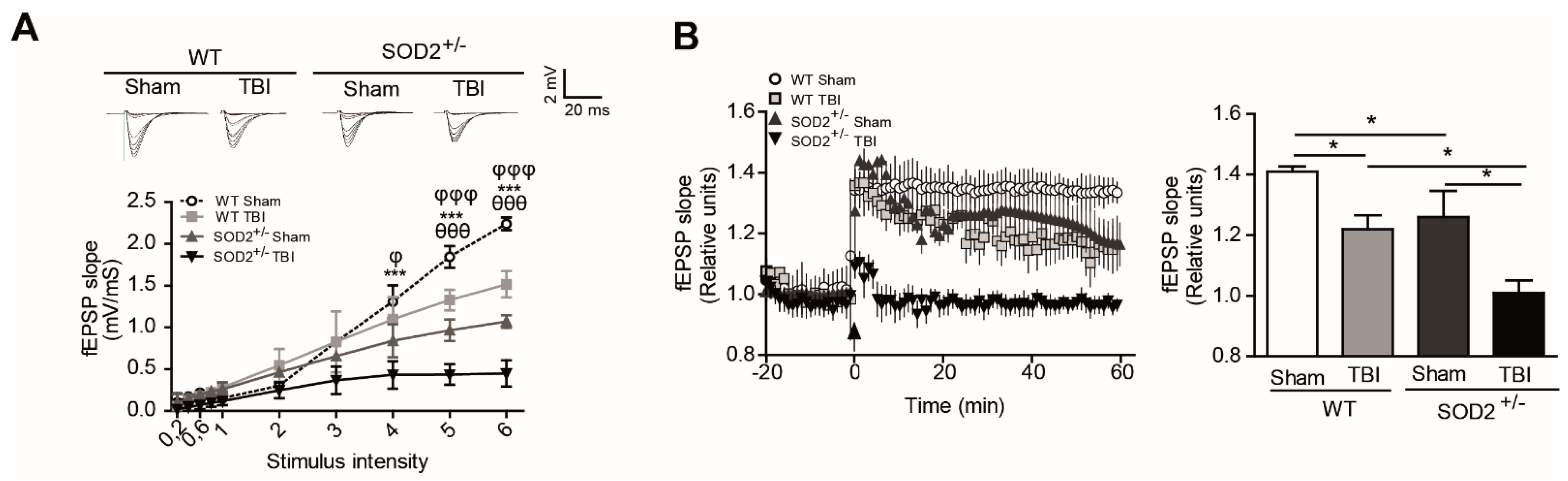 Antioxidants 10 01575 g003