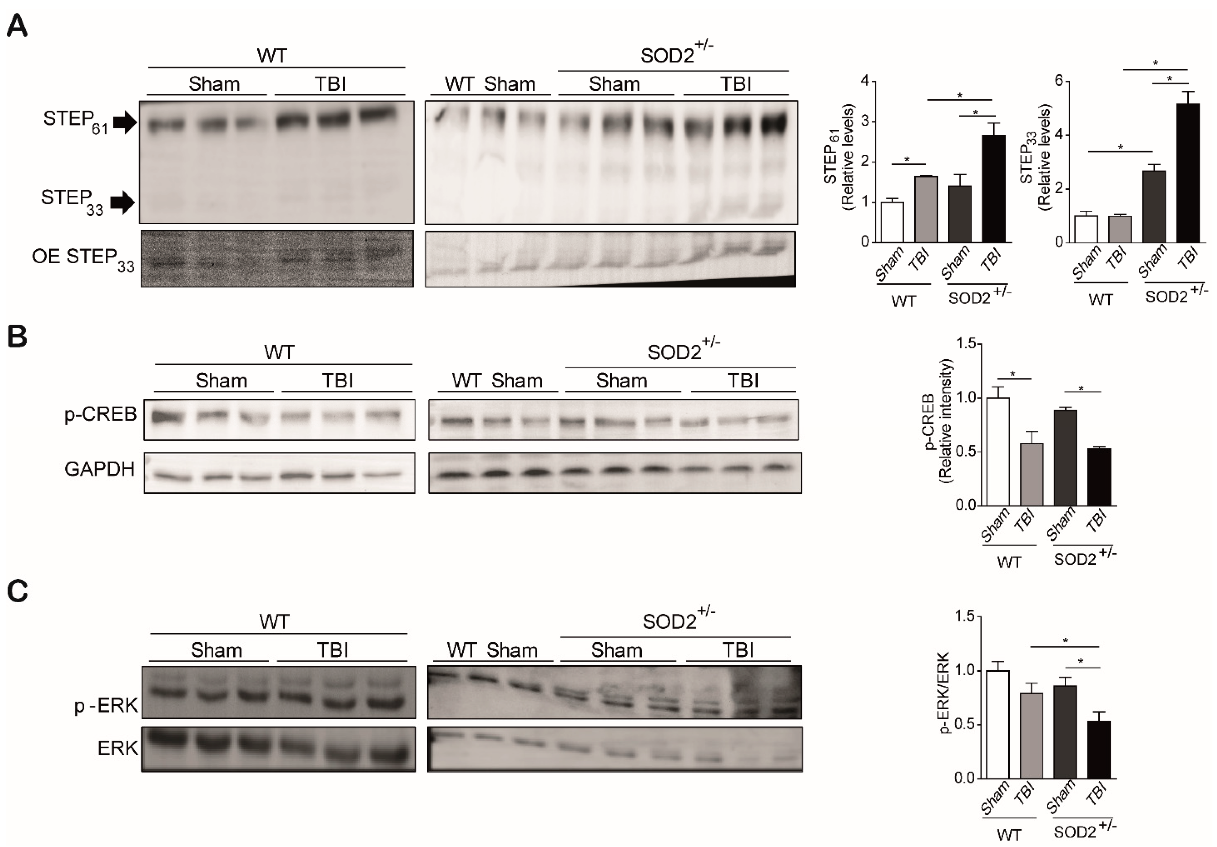 Antioxidants 10 01575 g006