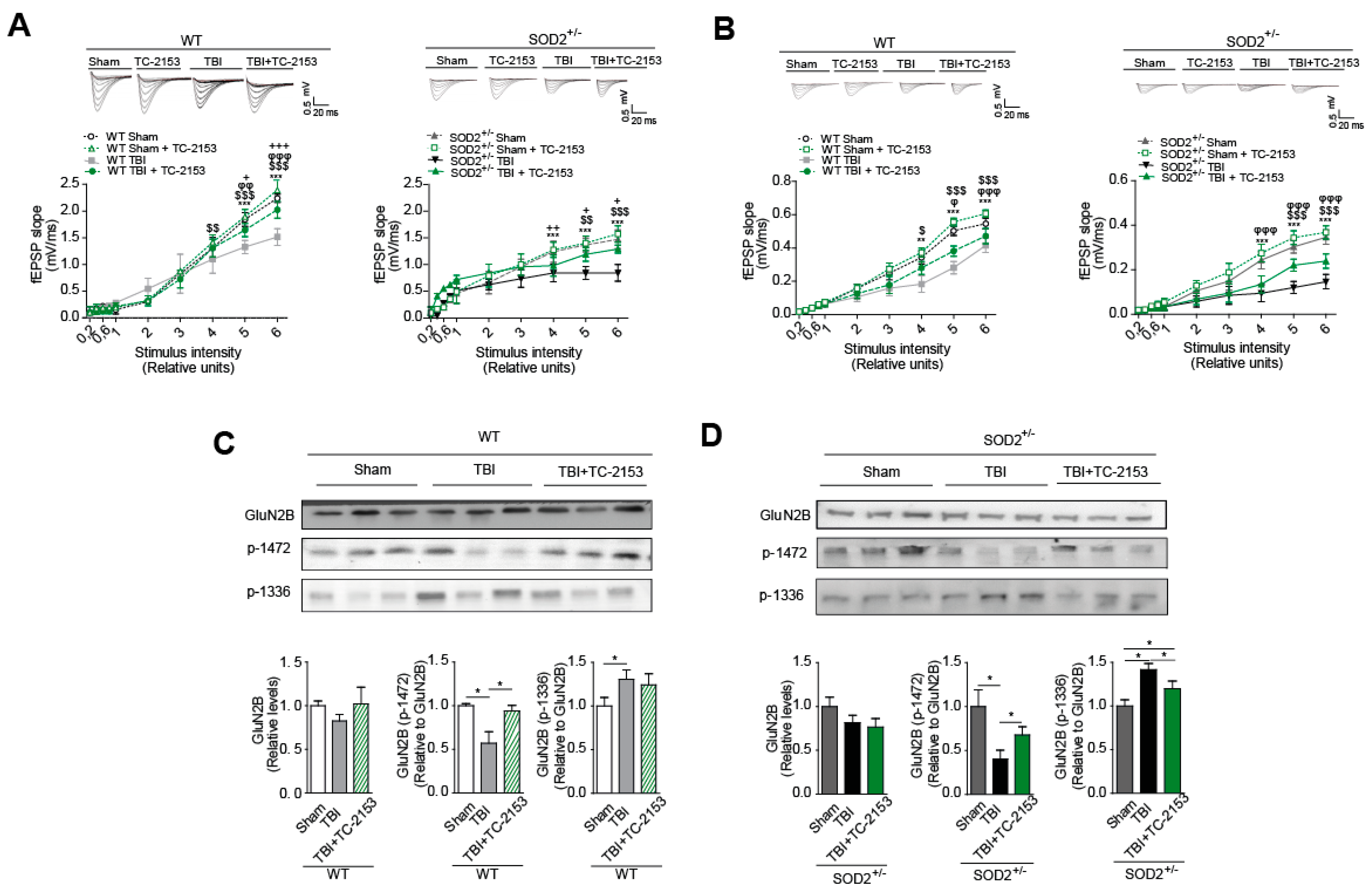 Antioxidants 10 01575 g008