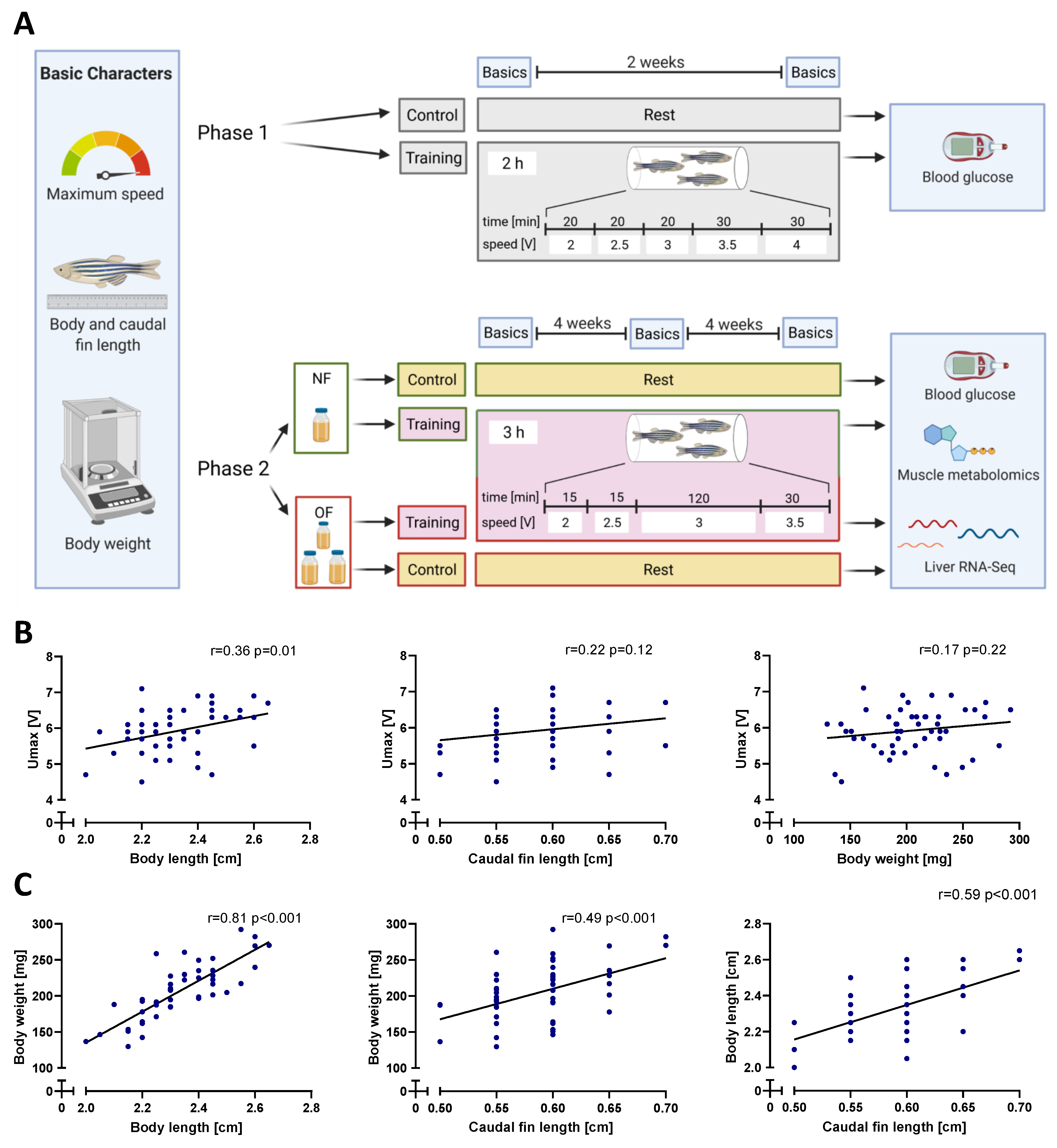 Antioxidants 10 01581 g001