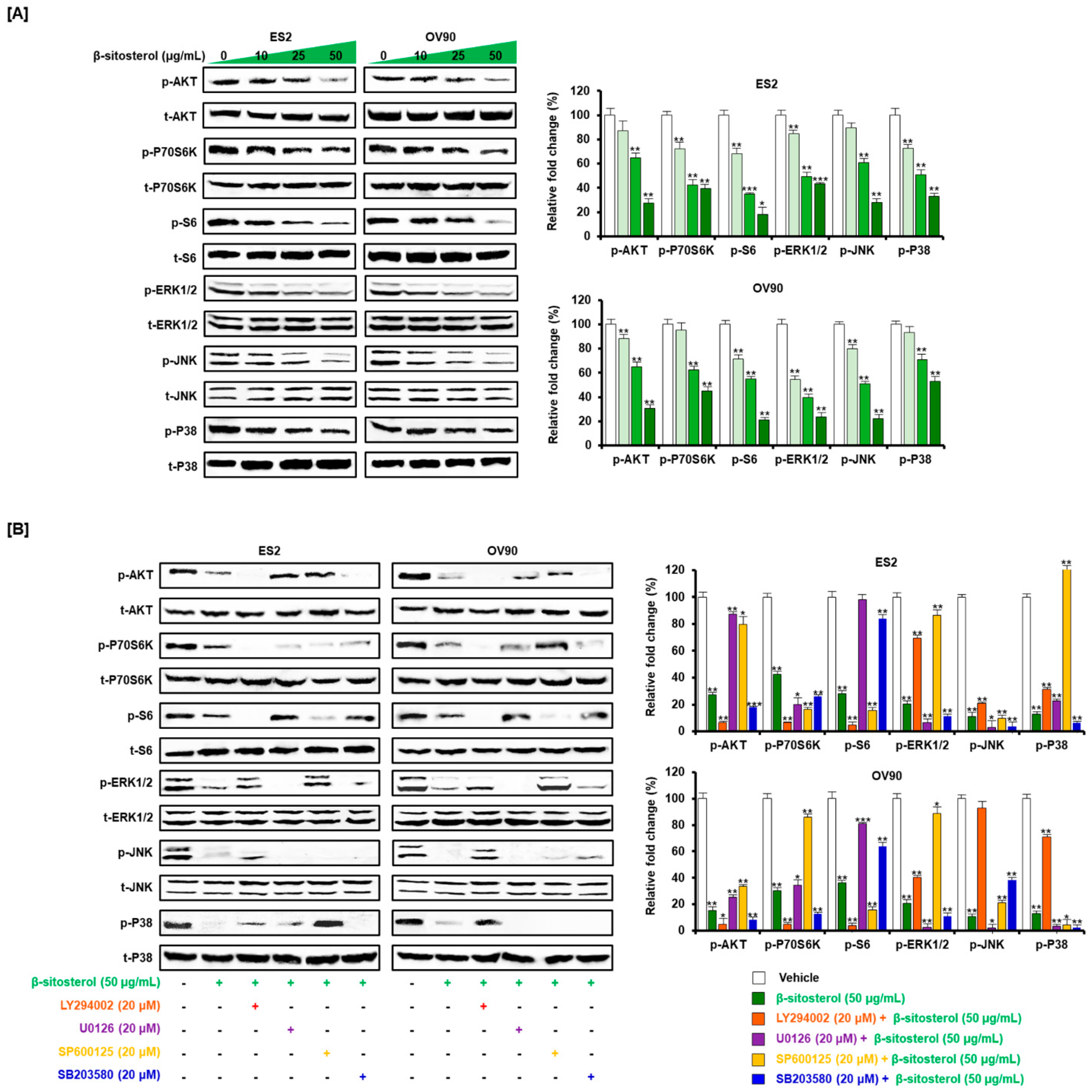 Antioxidants 10 01583 g006