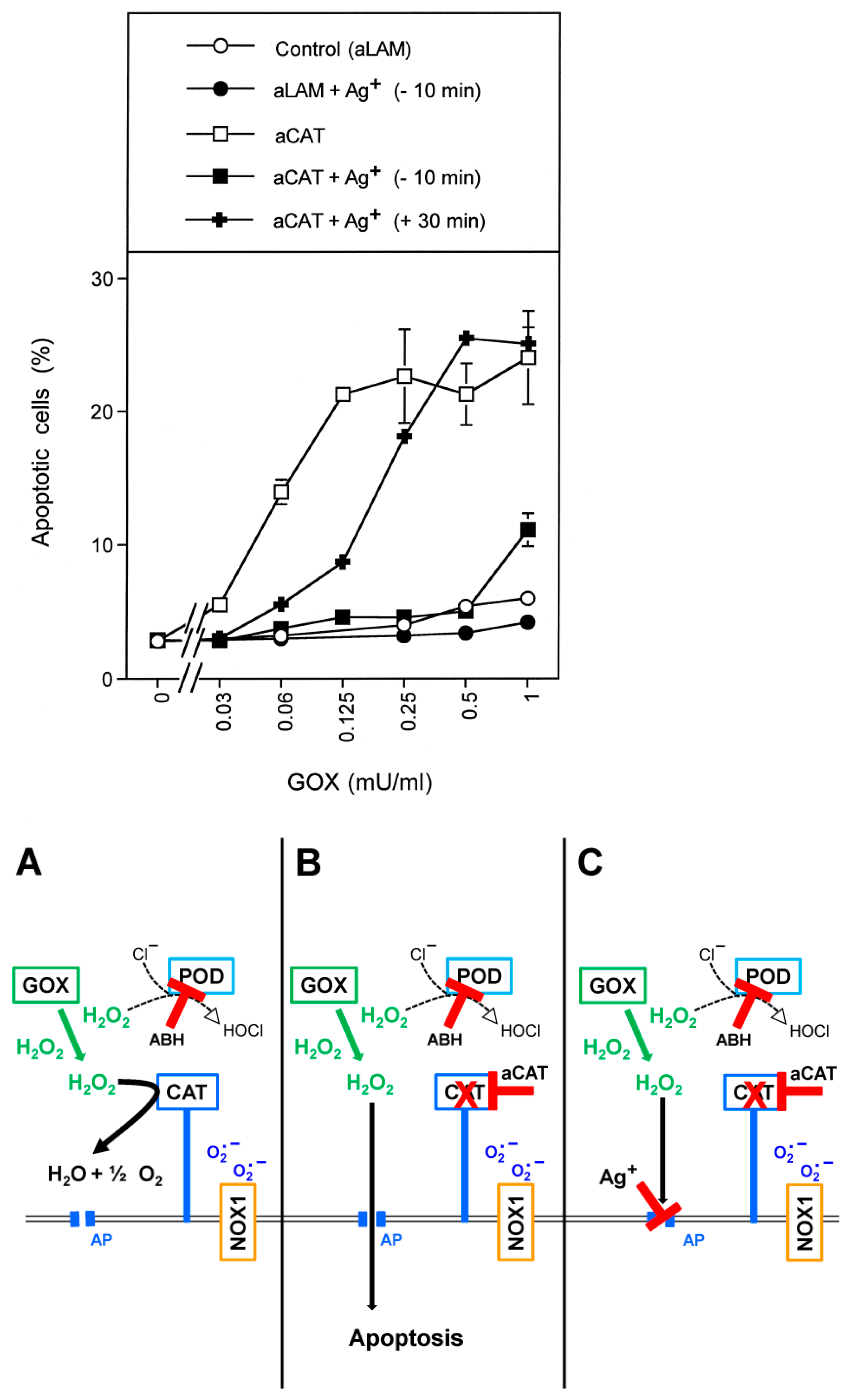 Antioxidants 10 01585 g001