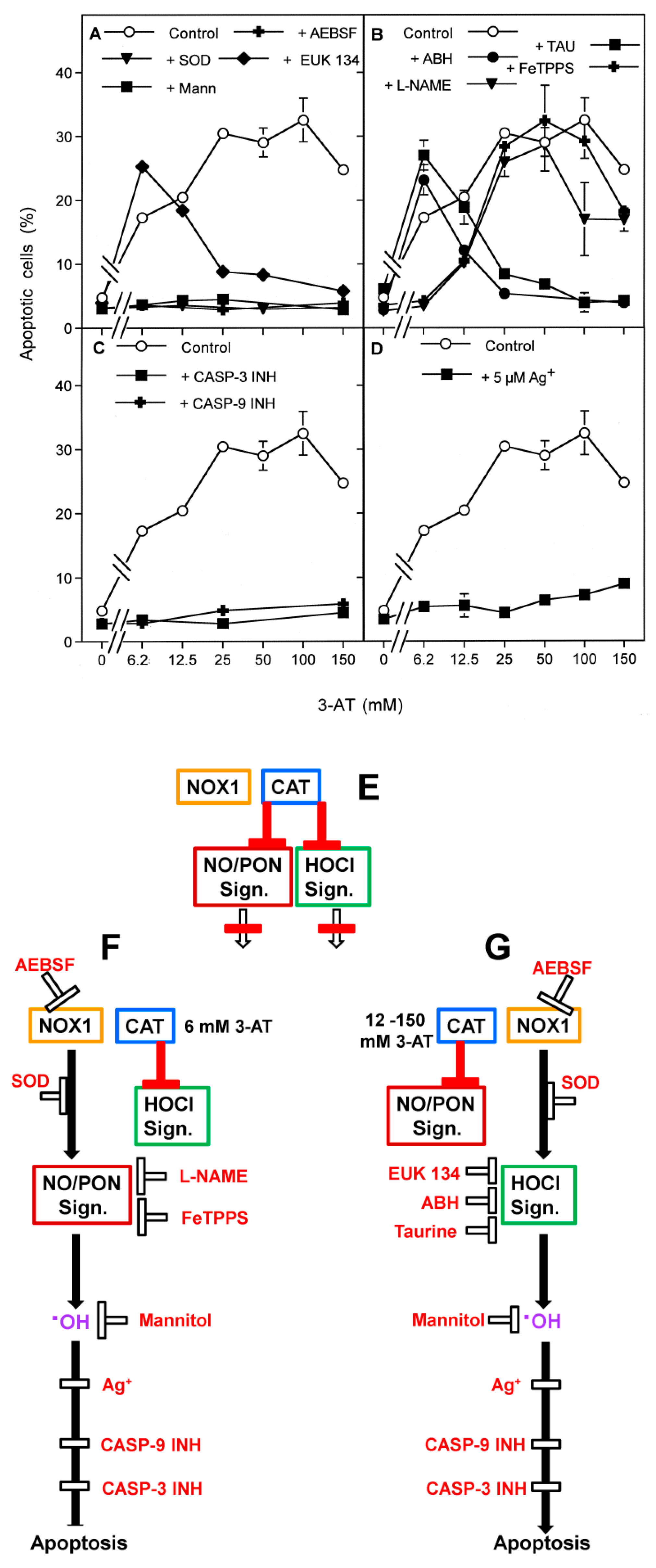 Antioxidants 10 01585 g002