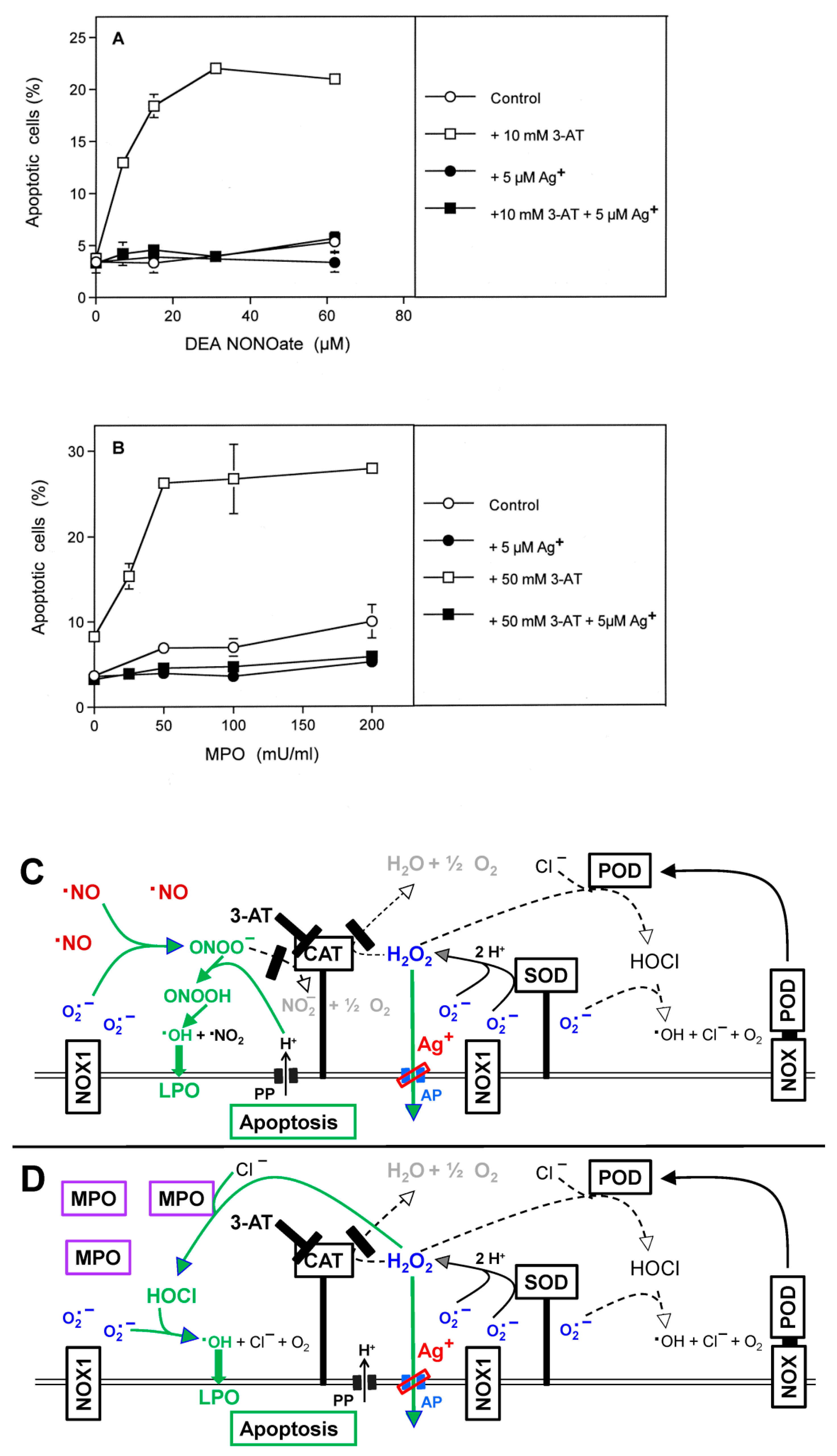 Antioxidants 10 01585 g003