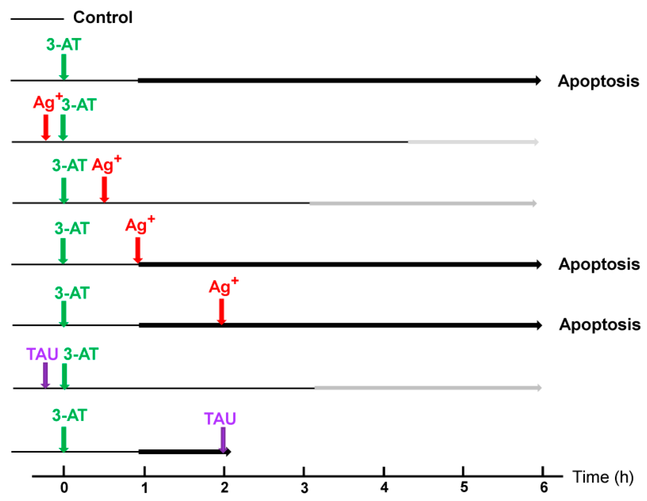 Antioxidants 10 01585 g004b