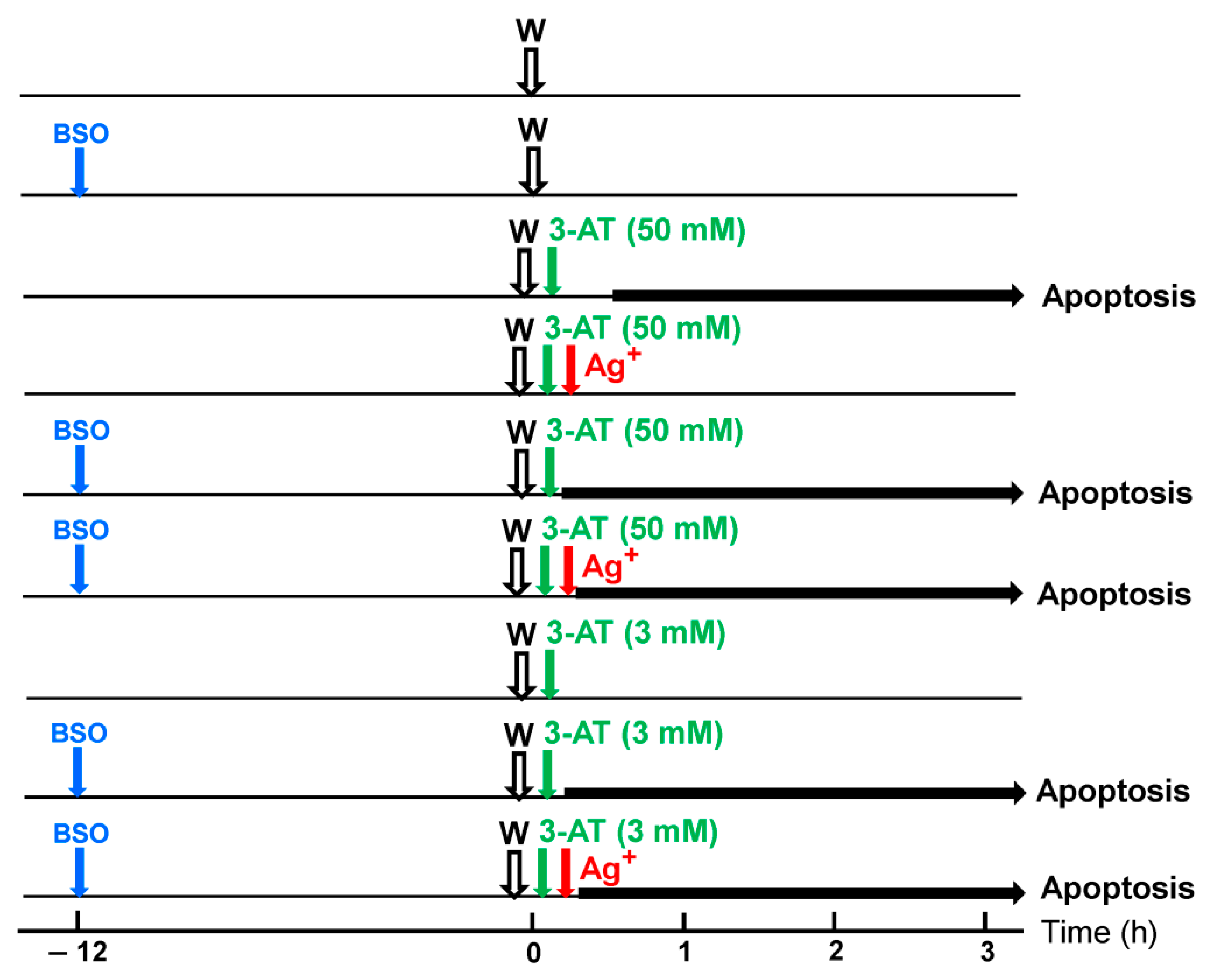Antioxidants 10 01585 g006b
