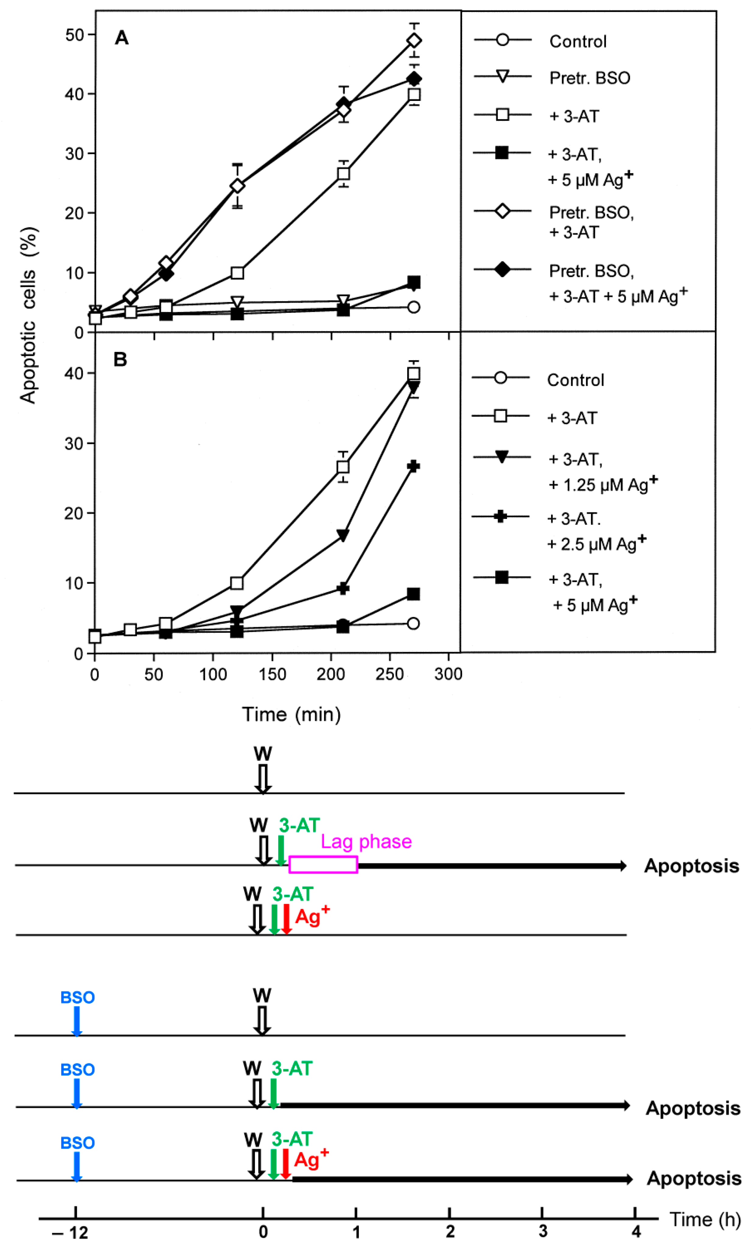 Antioxidants 10 01585 g007