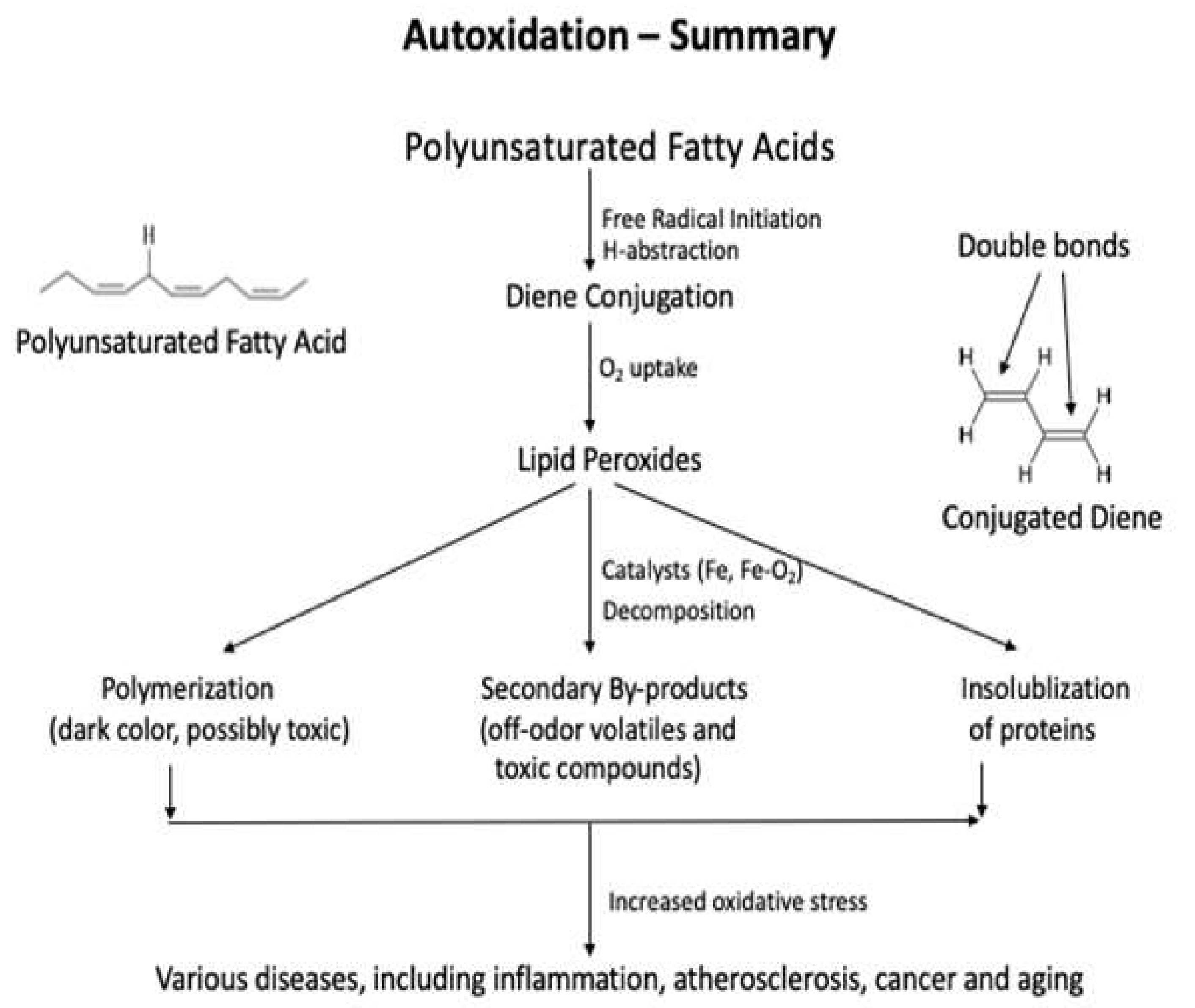 Antioxidants Free FullText Analytical Methods for Lipid Oxidation and Antioxidant Capacity