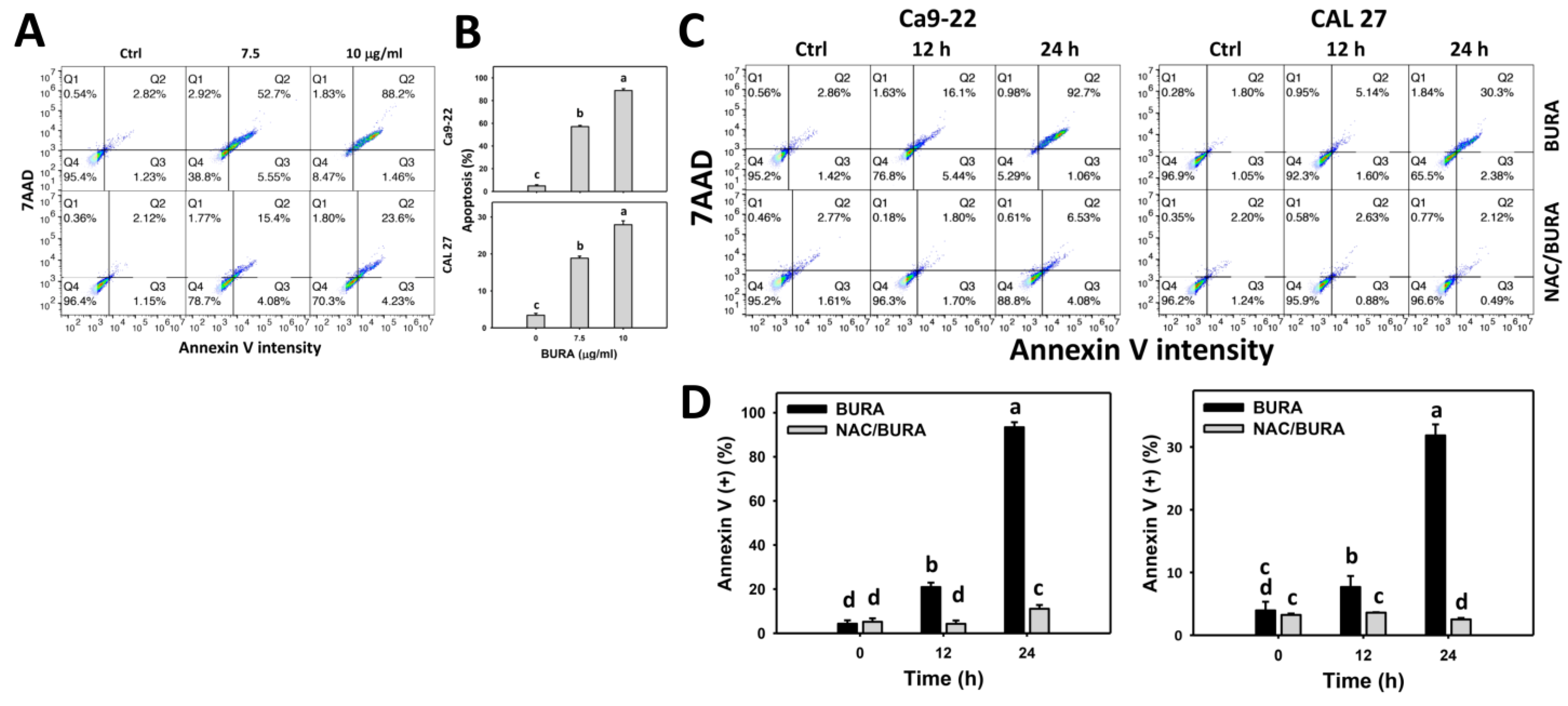 Antioxidants 10 01588 g003