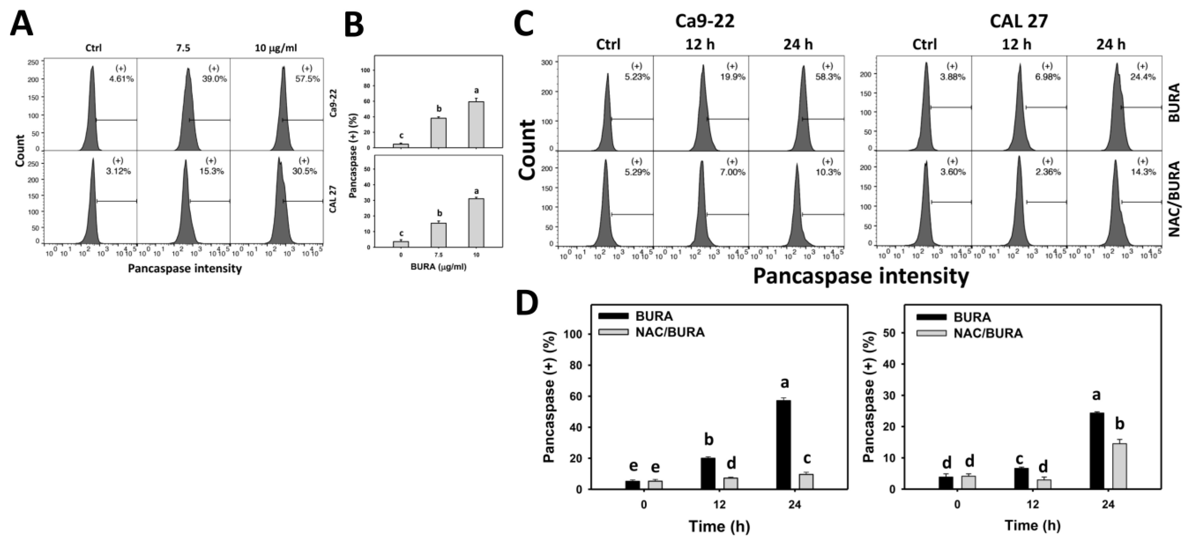 Antioxidants 10 01588 g004