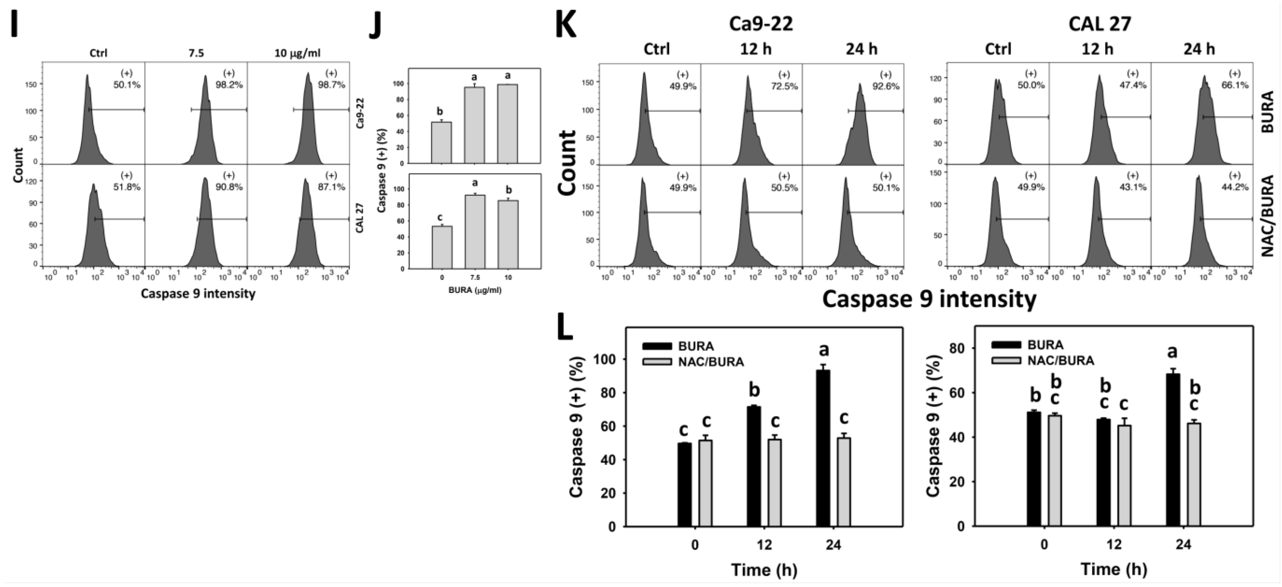 Antioxidants 10 01588 g005b