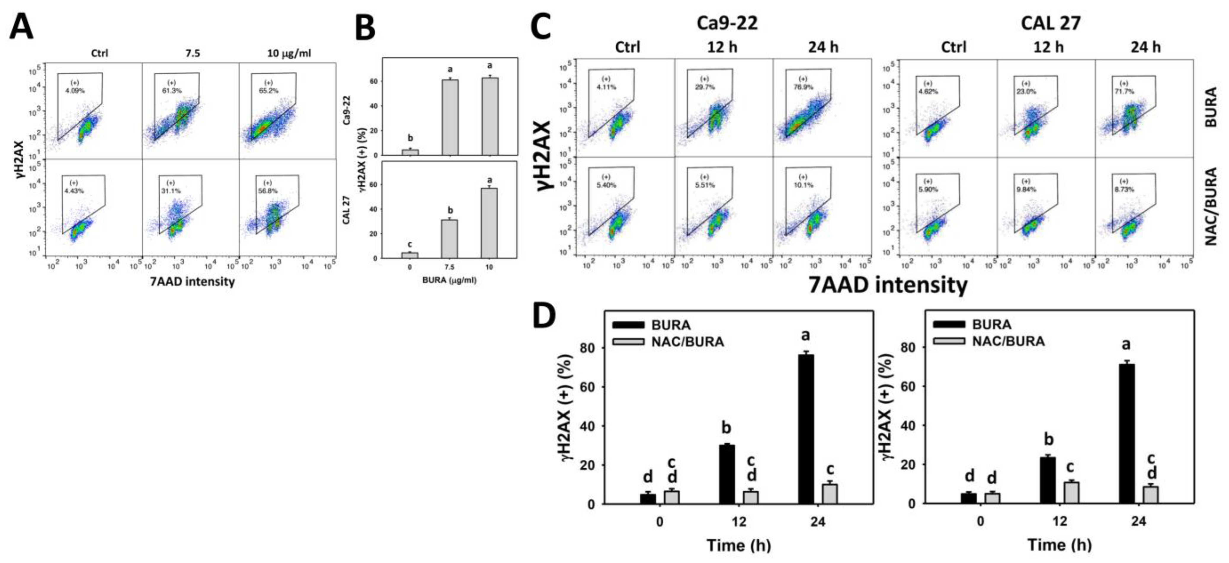 Antioxidants 10 01588 g008