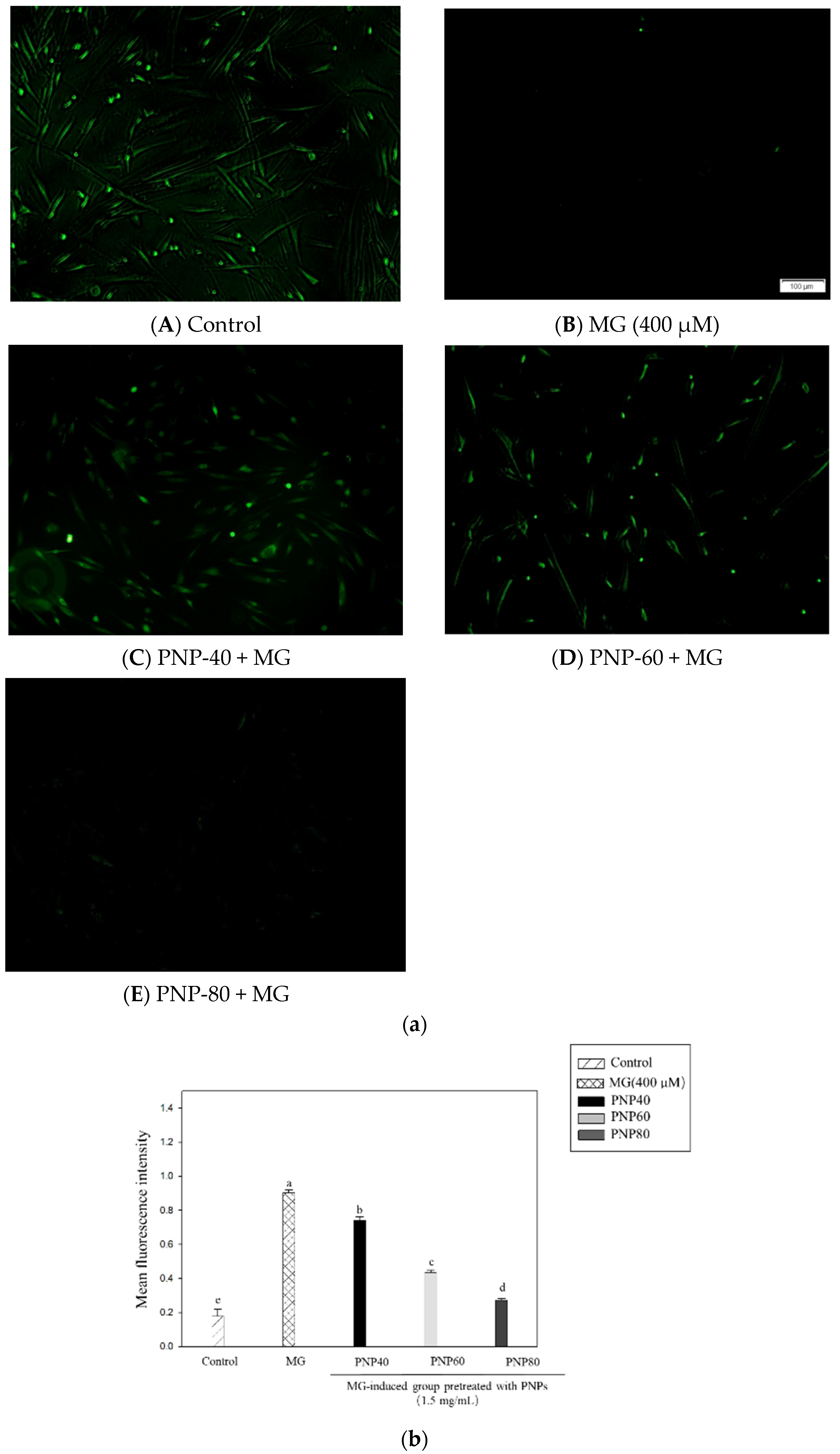 Antioxidants 10 01589 g009