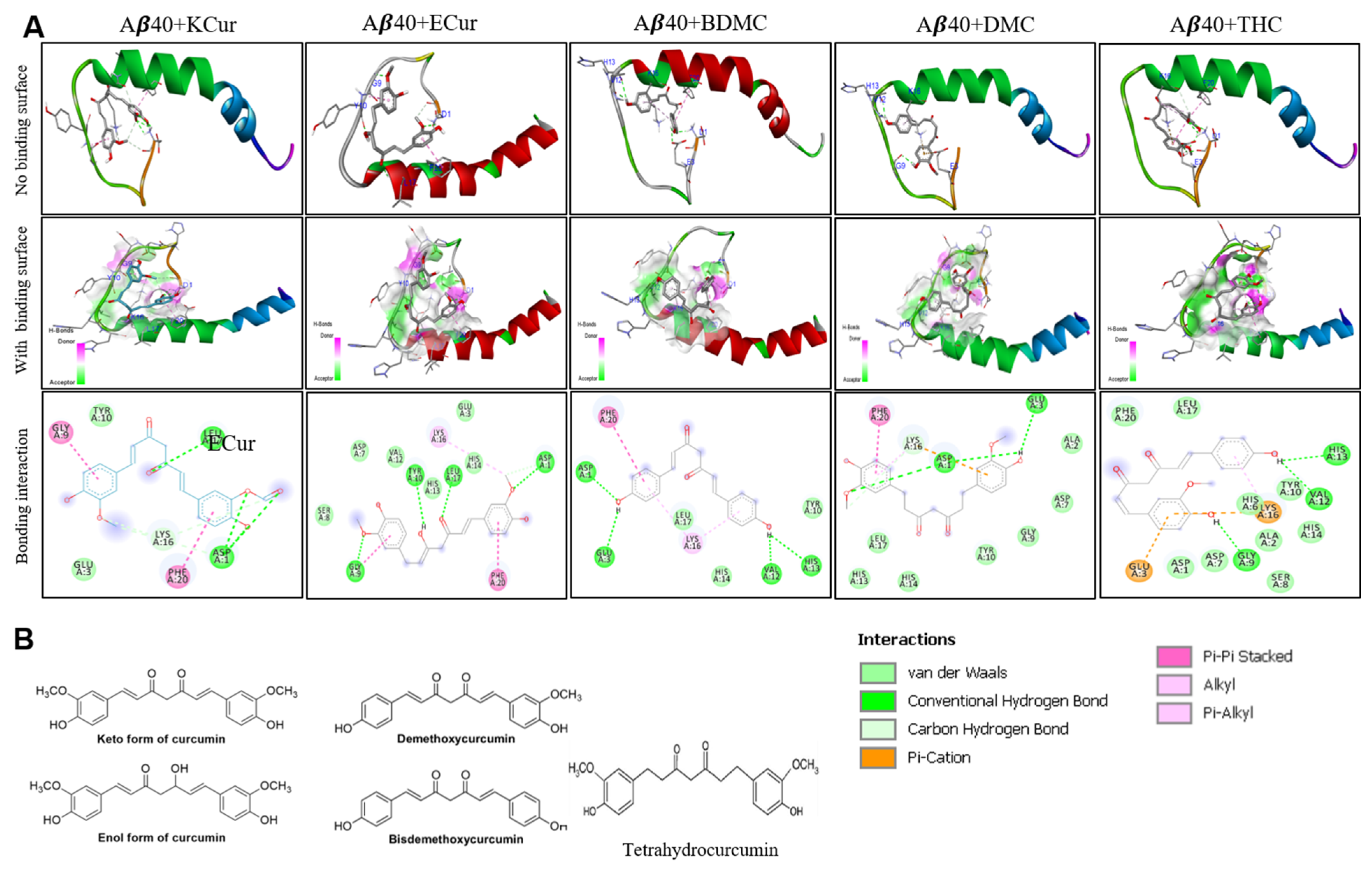 Antioxidants 10 01592 g001
