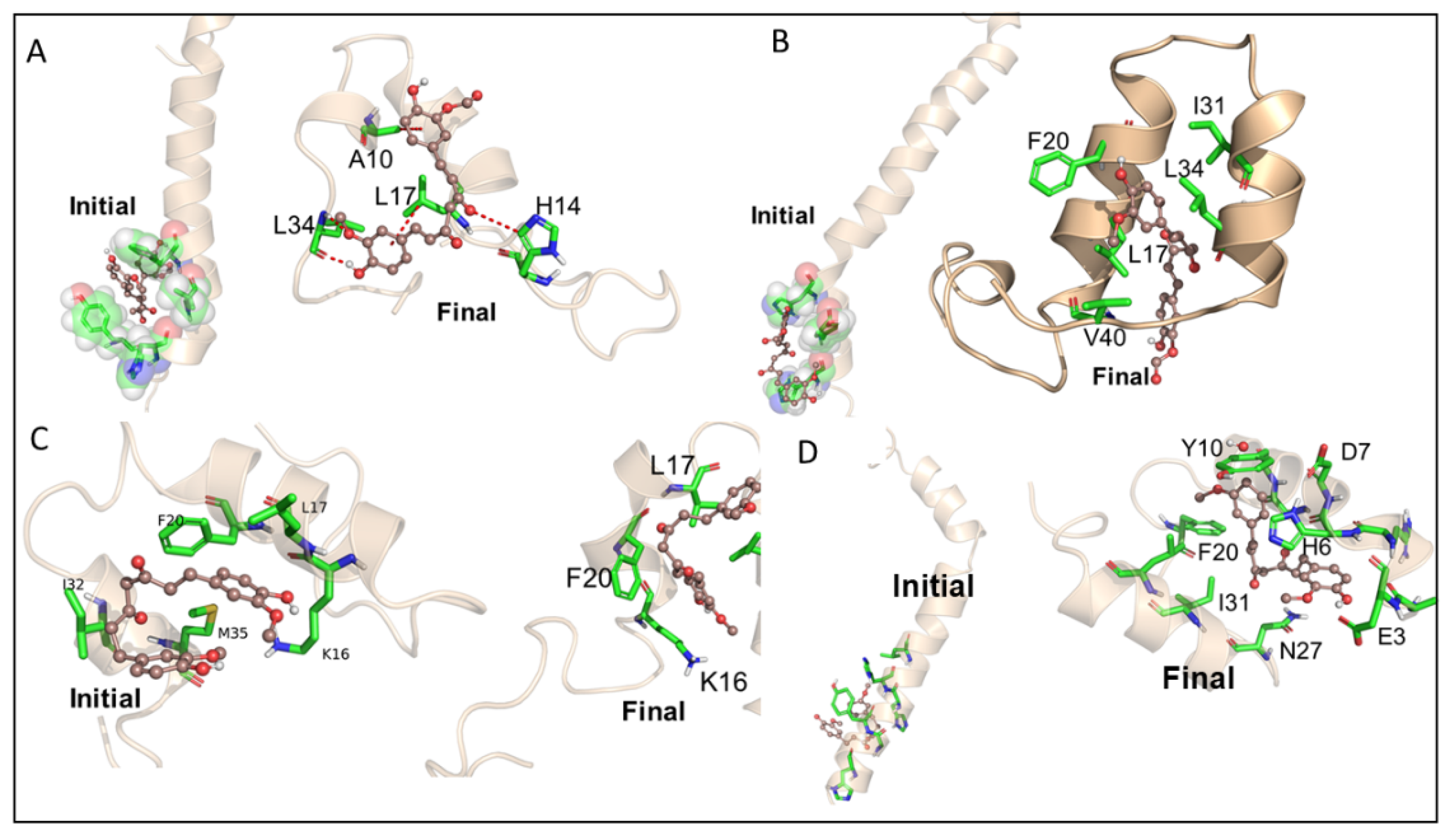 Antioxidants 10 01592 g004