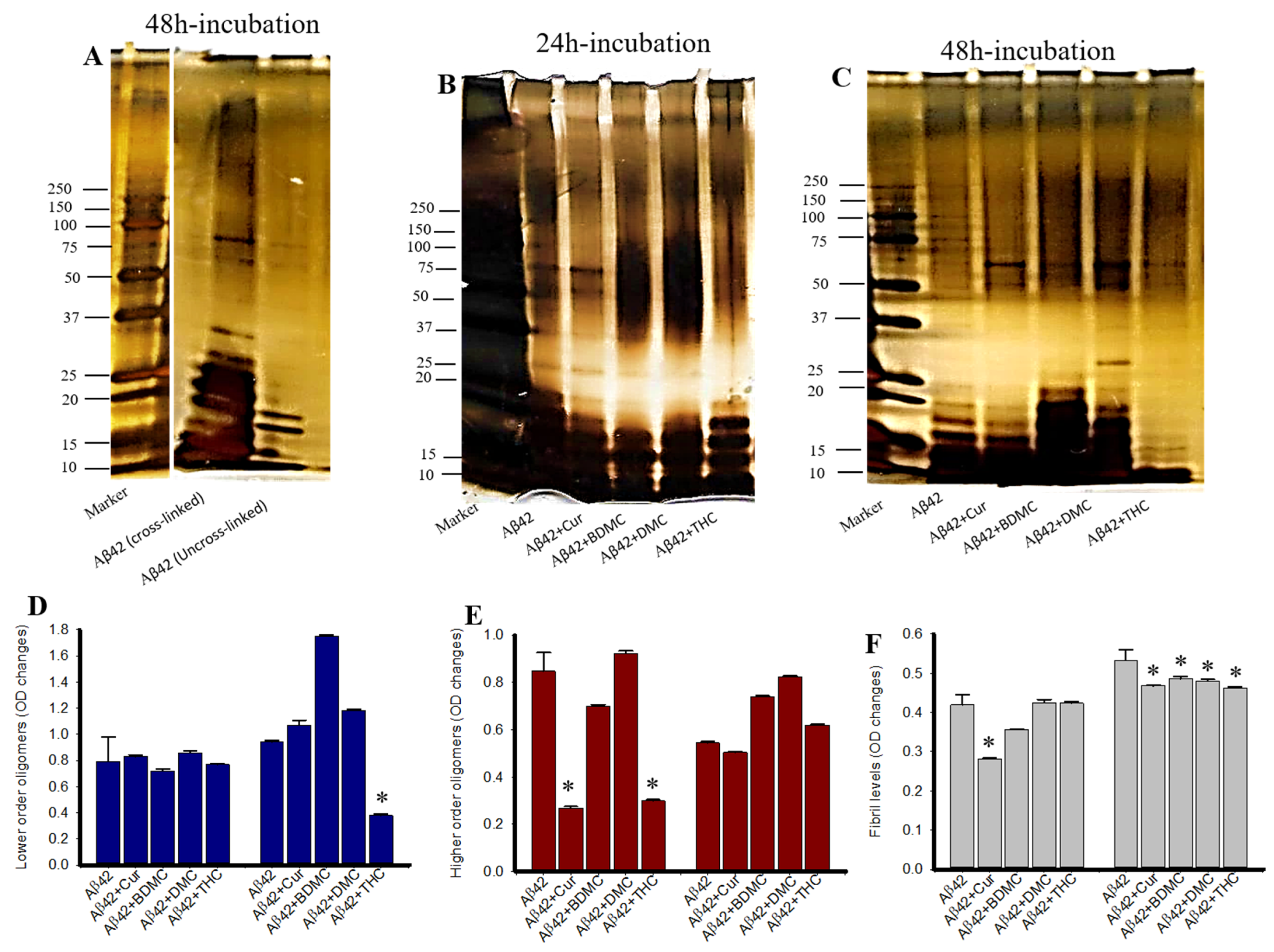 Antioxidants 10 01592 g007