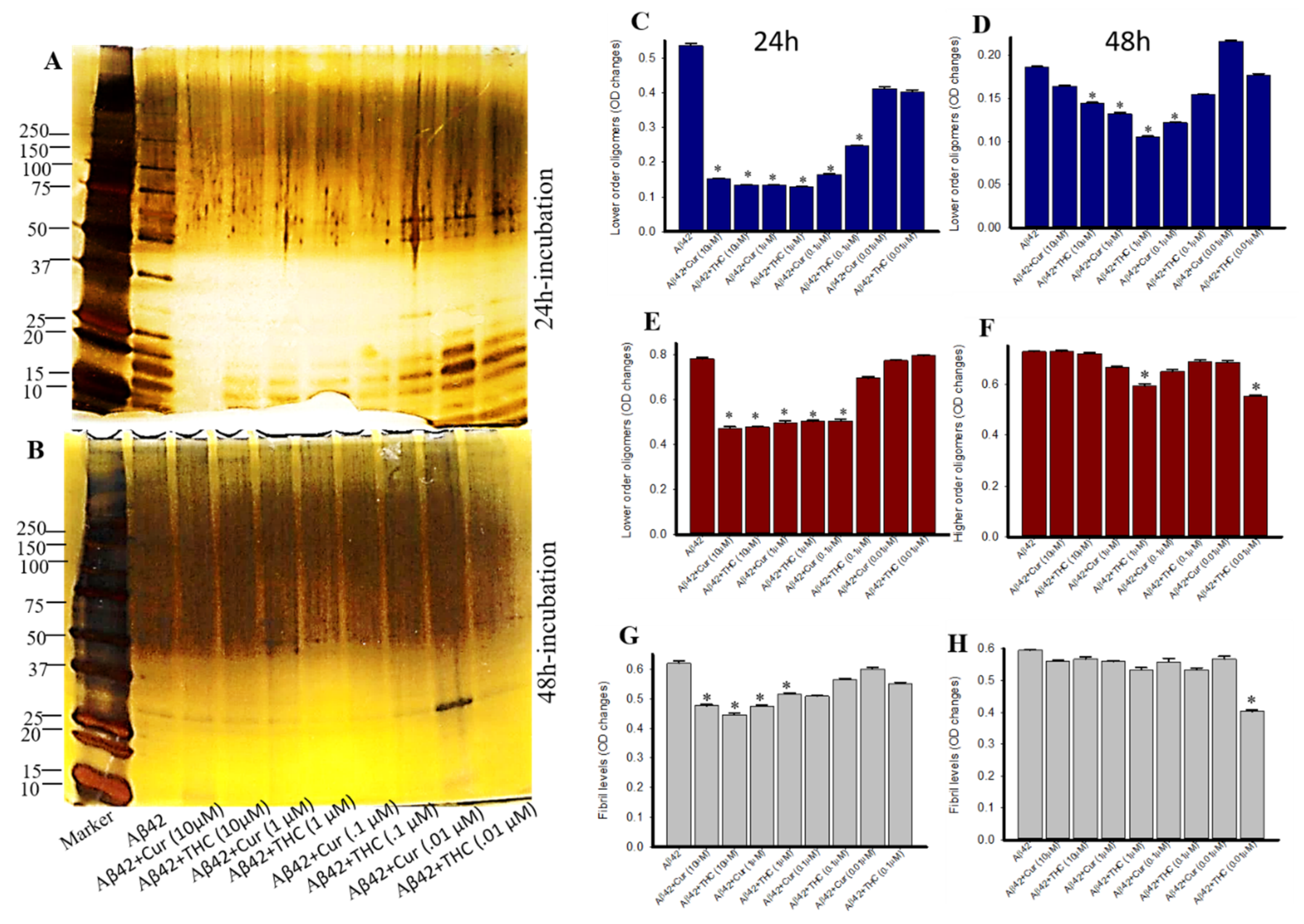 Antioxidants 10 01592 g008