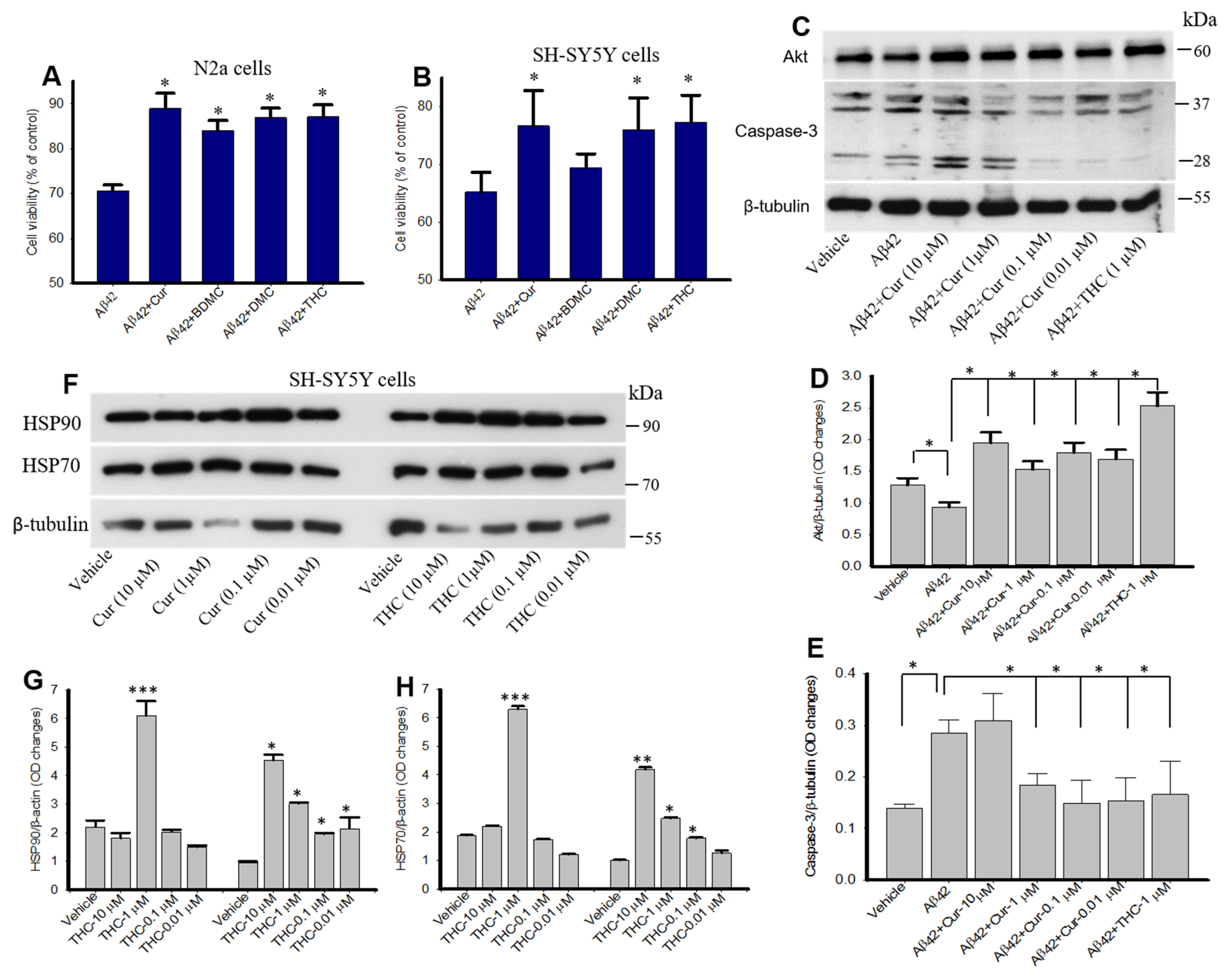 Antioxidants 10 01592 g010