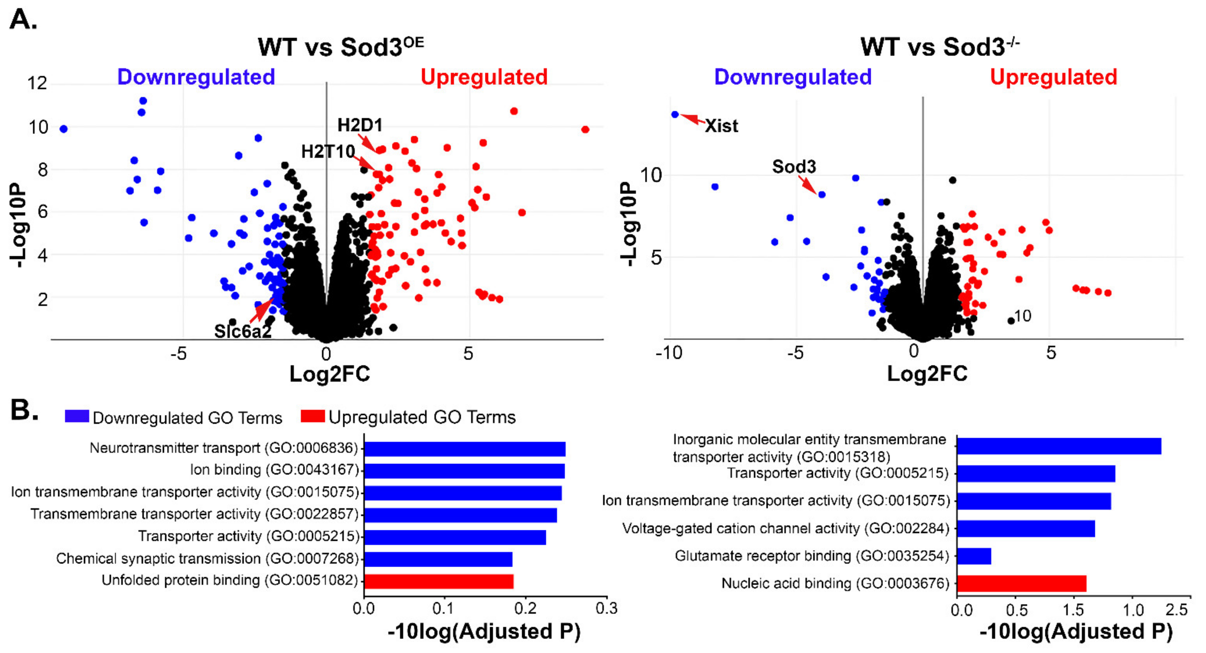Antioxidants 10 01595 g006