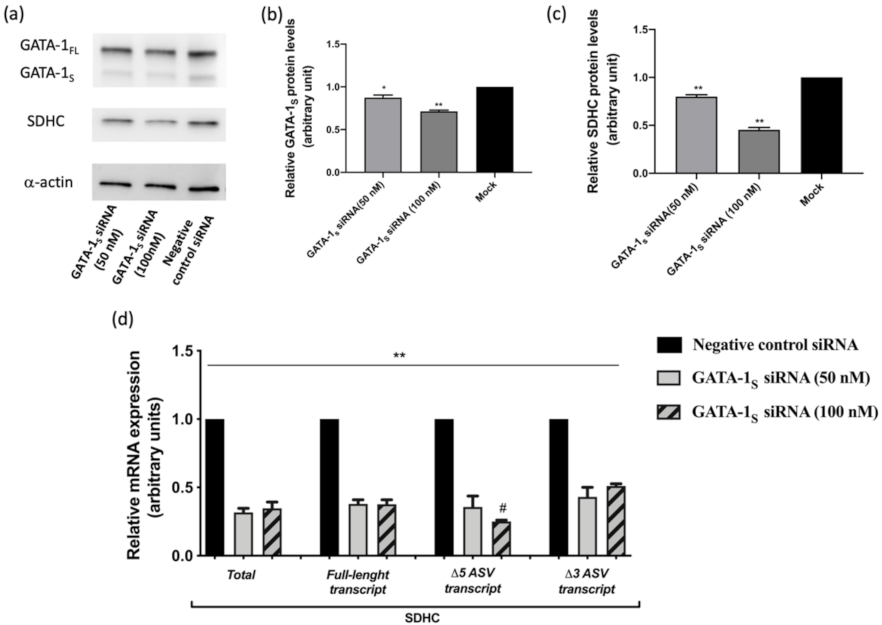 Antioxidants 10 01603 g002