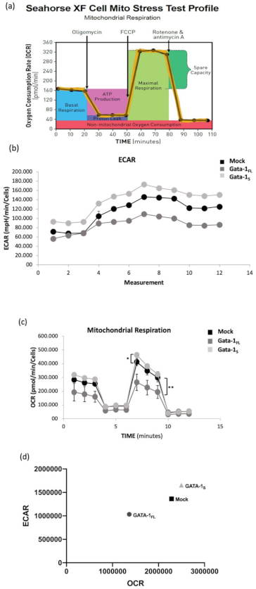 Antioxidants 10 01603 g004a