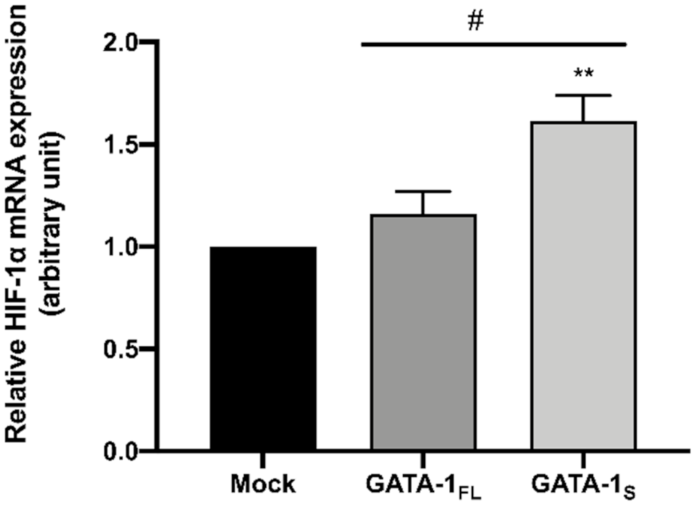 Antioxidants 10 01603 g007