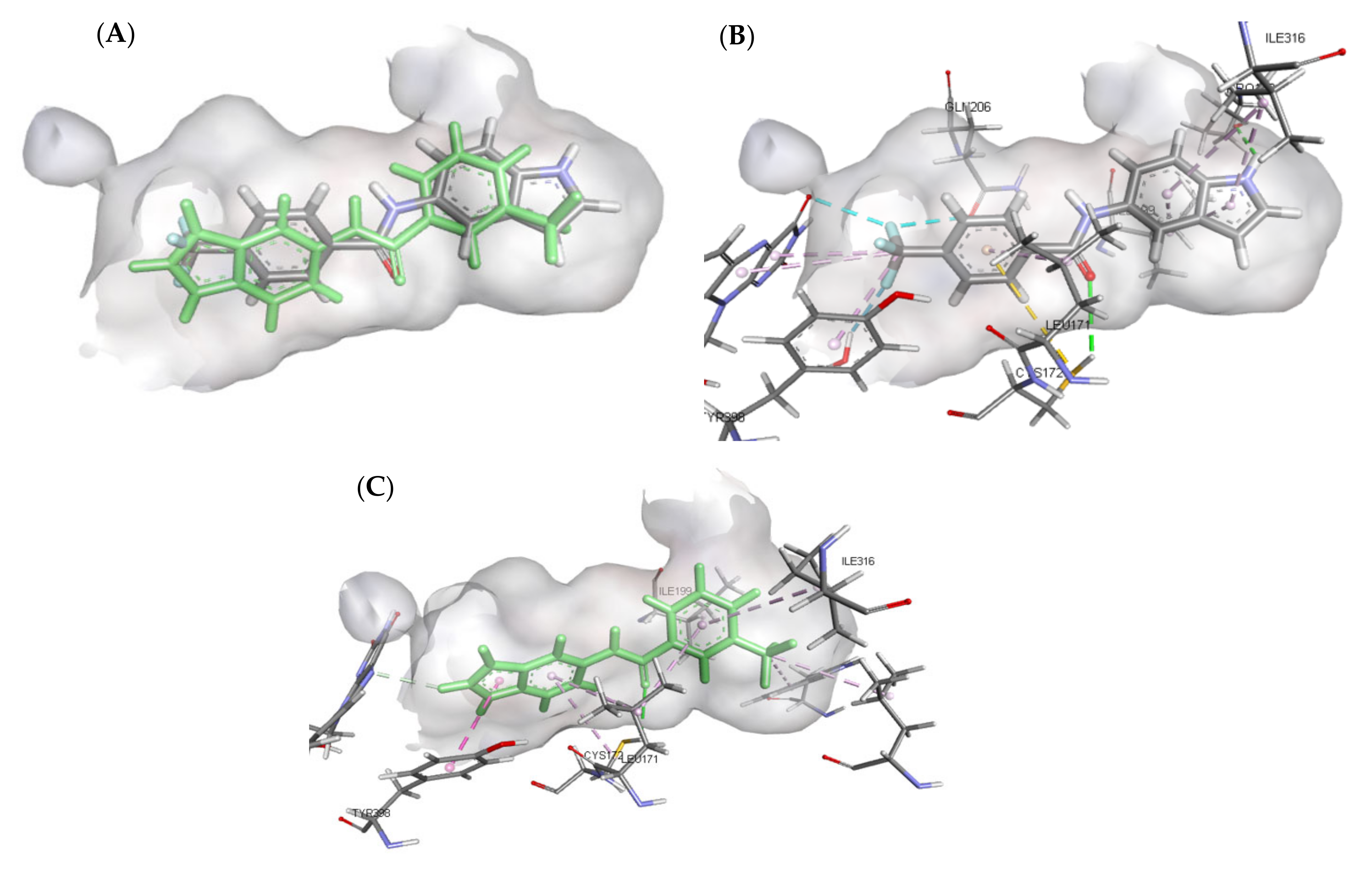 Antioxidants 10 01604 g008