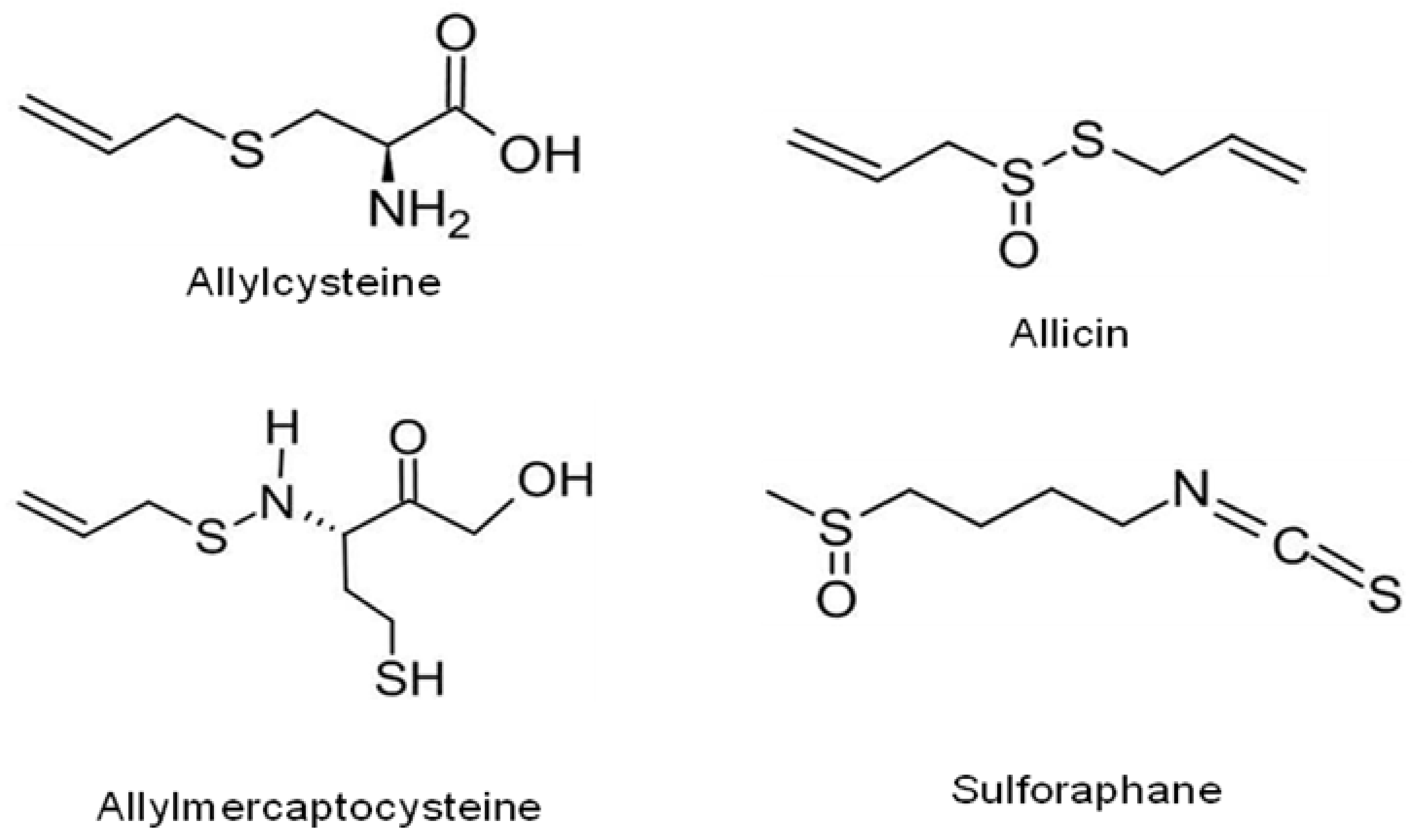 Antioxidants 10 01606 g005
