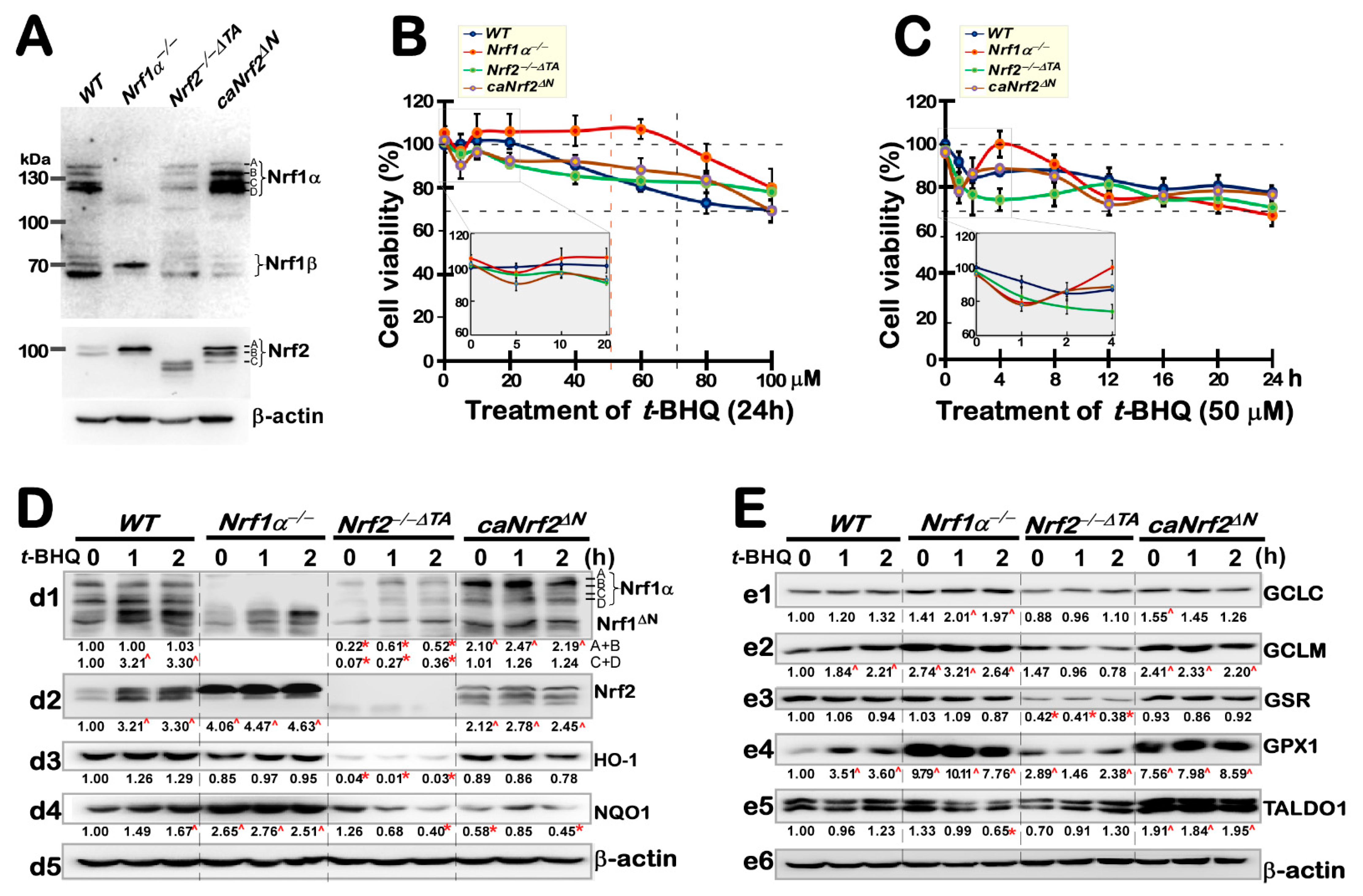 Antioxidants 10 01610 g001