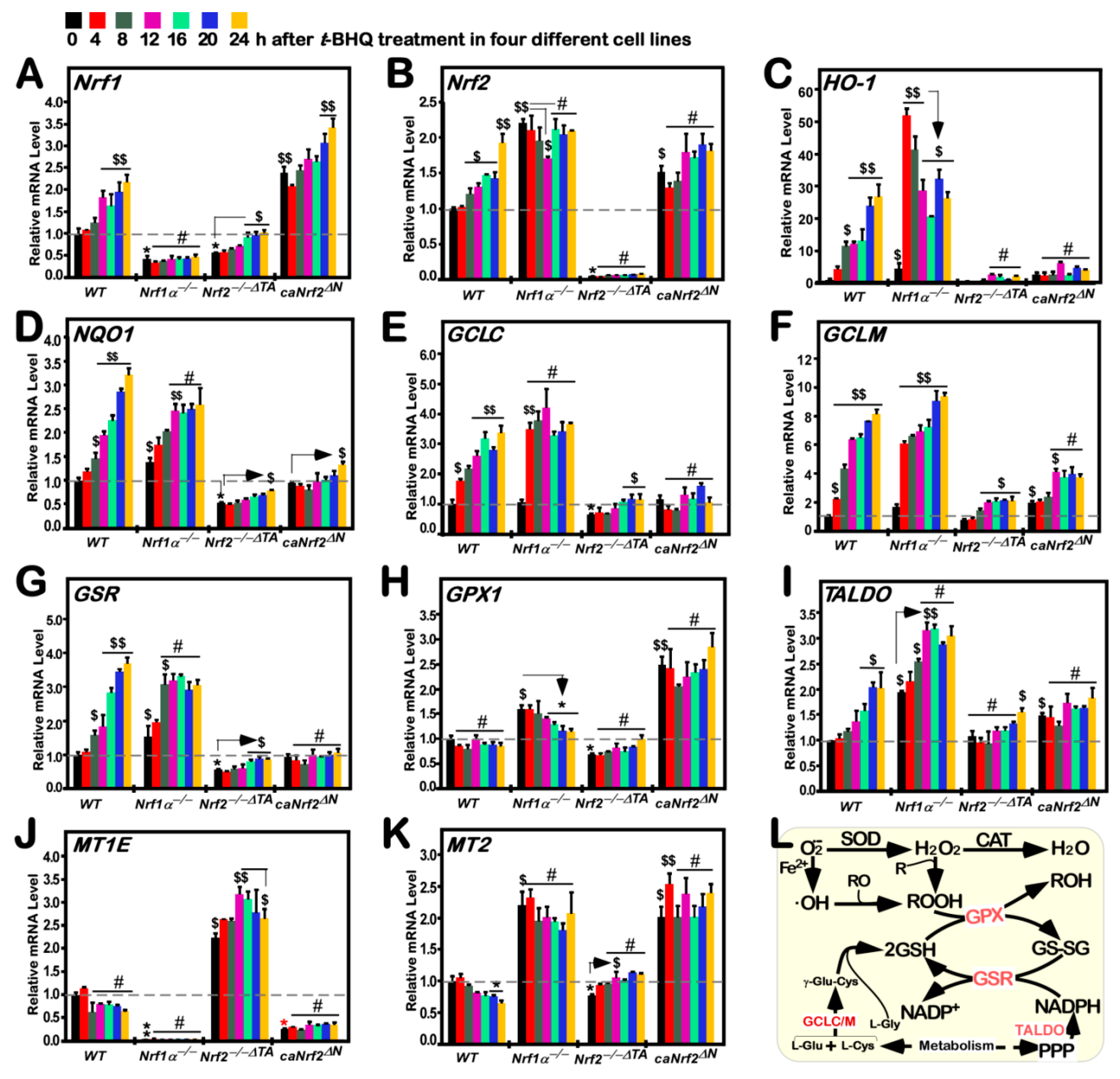 Antioxidants 10 01610 g002