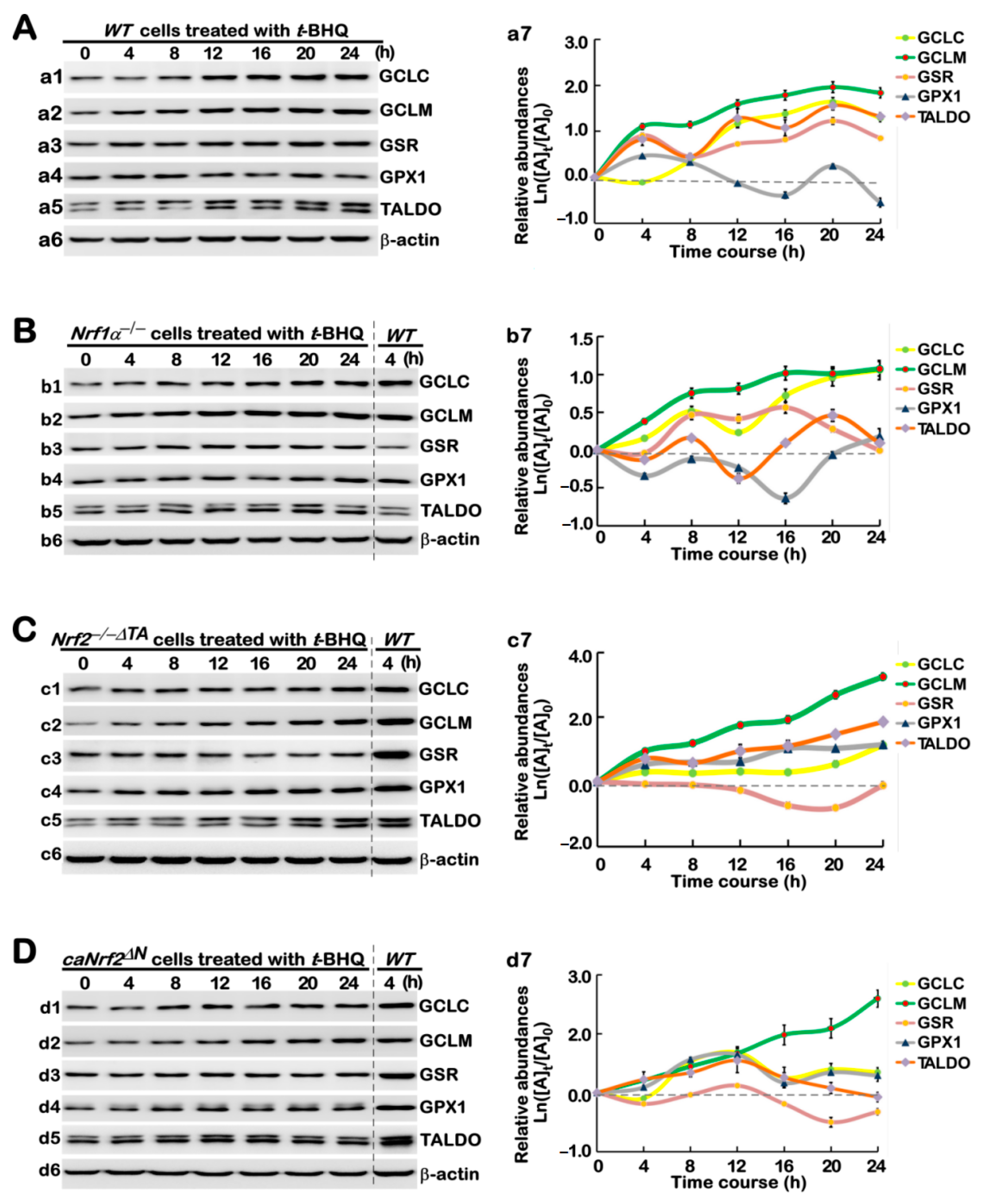 Antioxidants 10 01610 g004