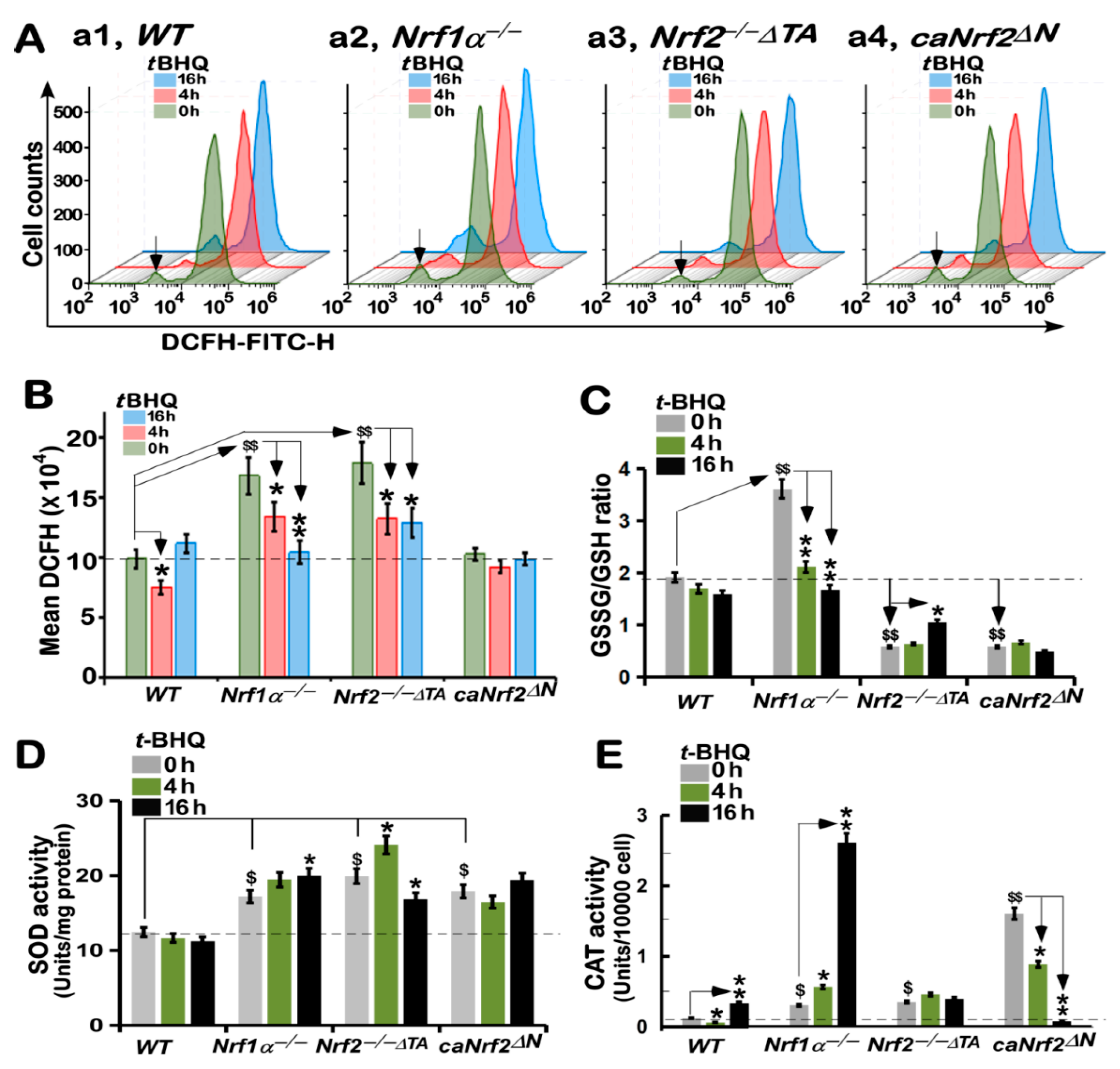 Antioxidants 10 01610 g005
