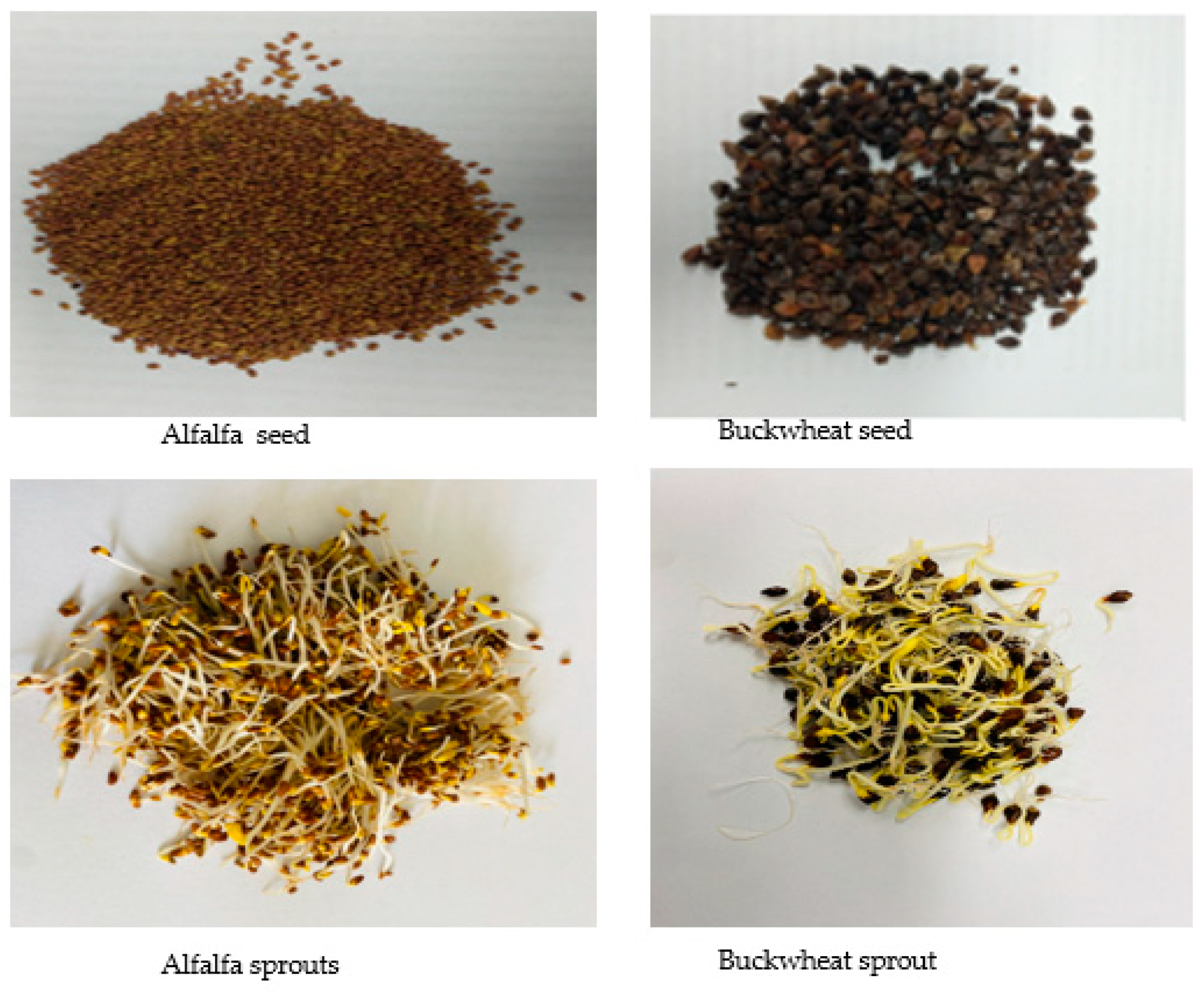 Antioxidants 10 01613 g001