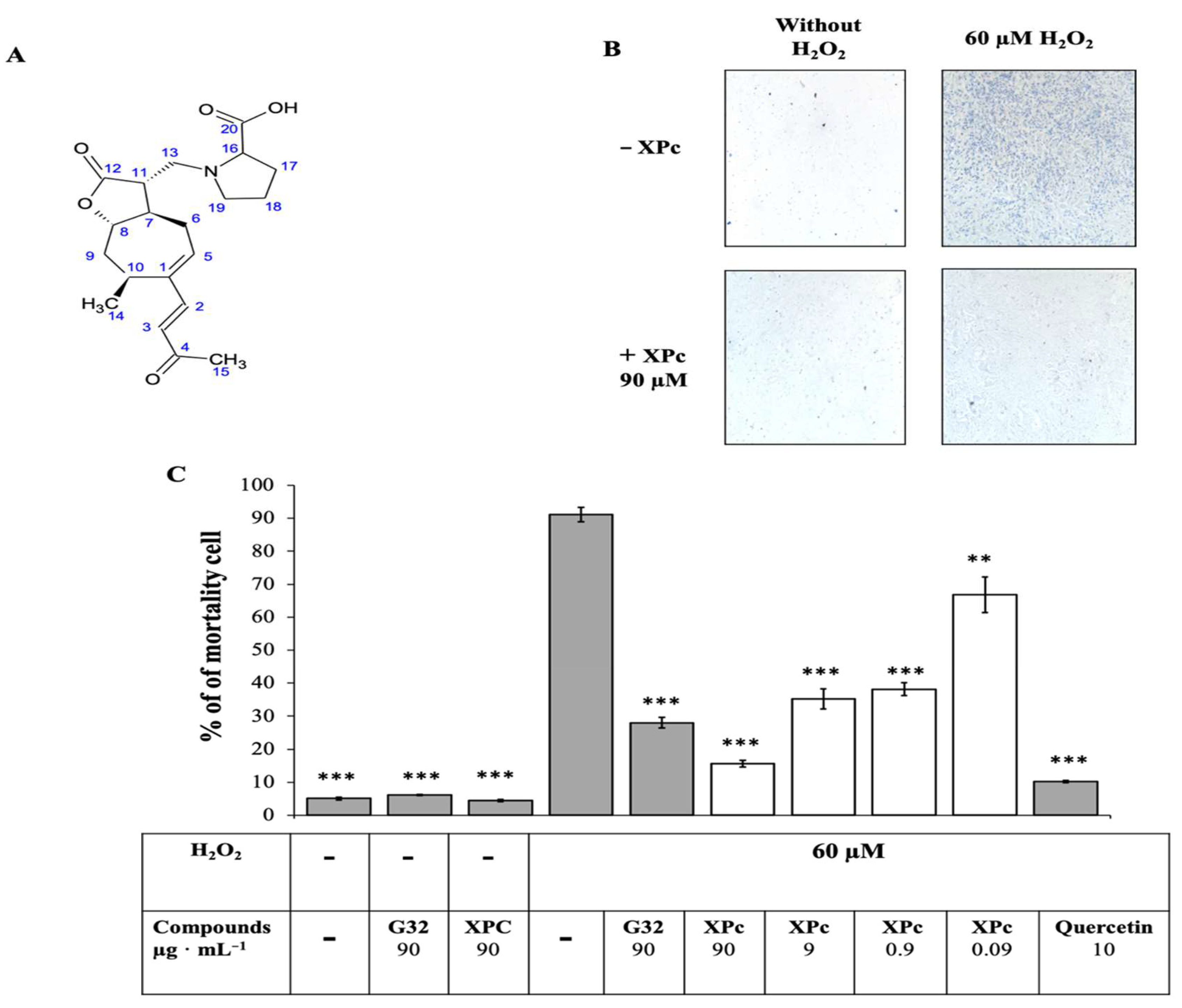 Antioxidants 10 01617 g004 550