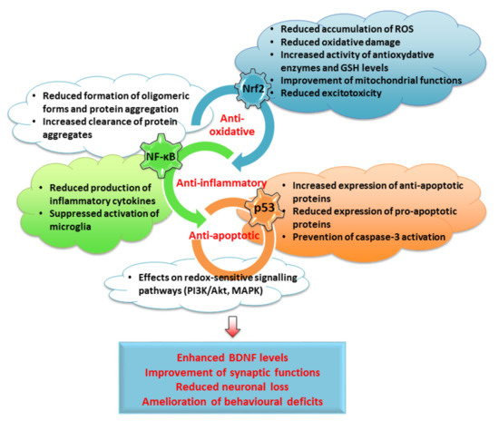Anti-Oxidative, Anti-Inflammatory and Anti-Apoptotic Effects Anti-Oxidative, Anti-Inflammatory and Anti-Apoptotic Effects