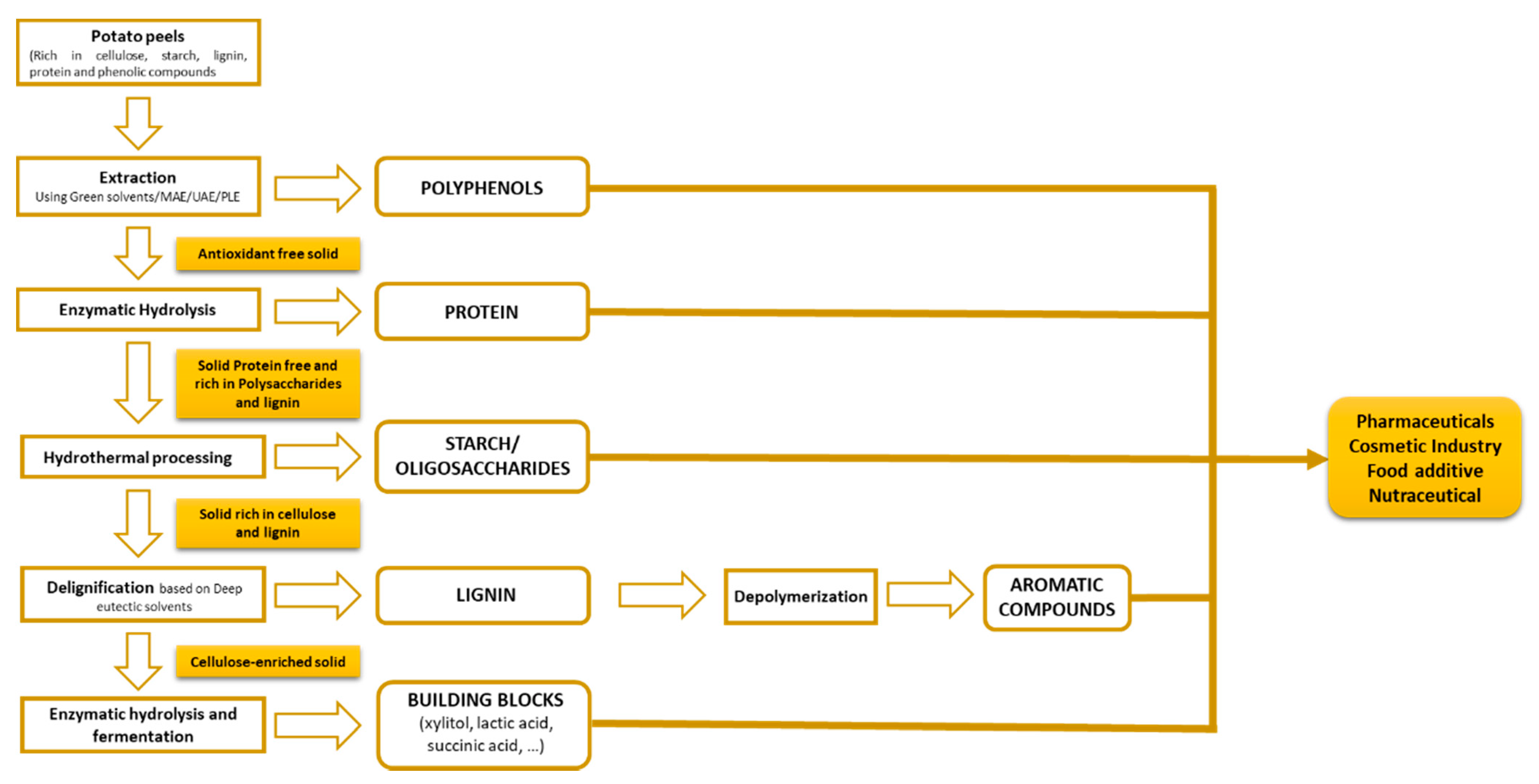 Antioxidants 10 01630 g004