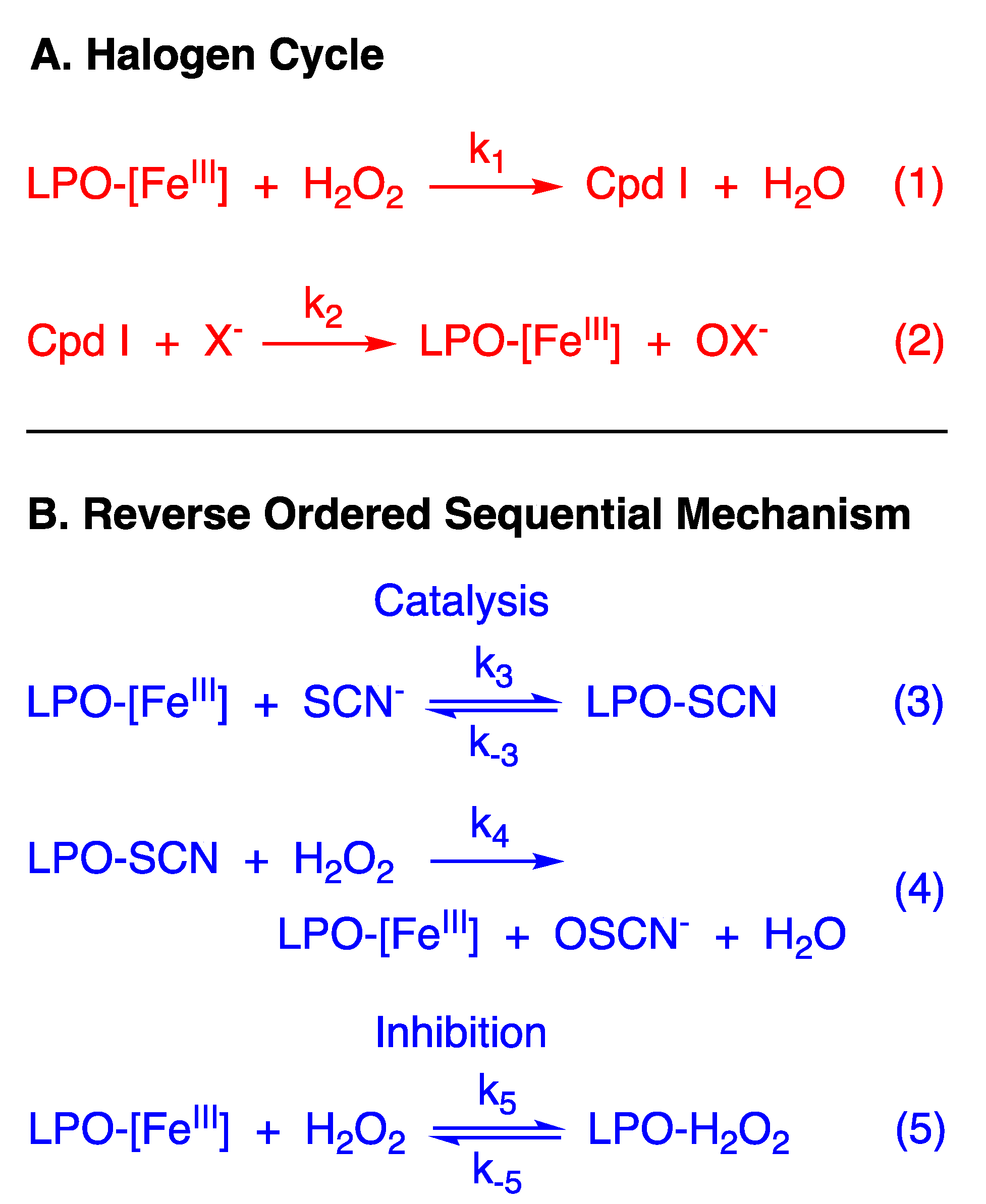 Antioxidants 10 01646 g001